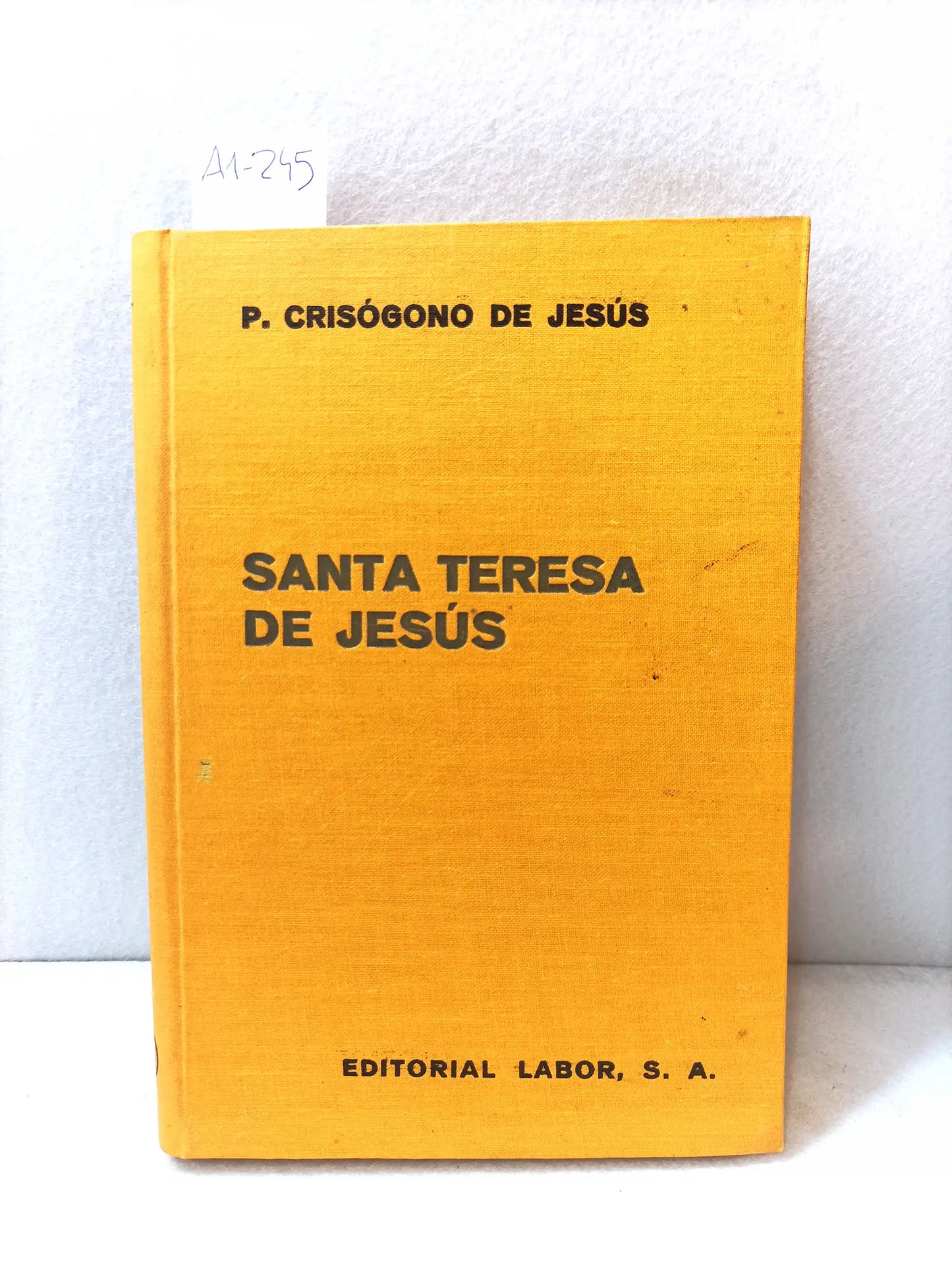 Santa Teresa de Jesús (su vida y su doctrina).
