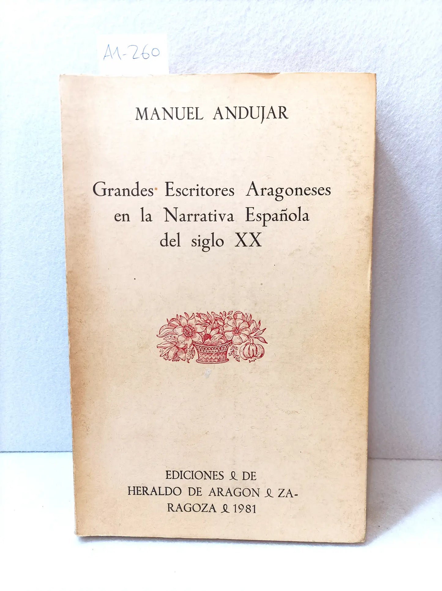 Grandes escritores aragoneses de la narrativa española del siglo XX.