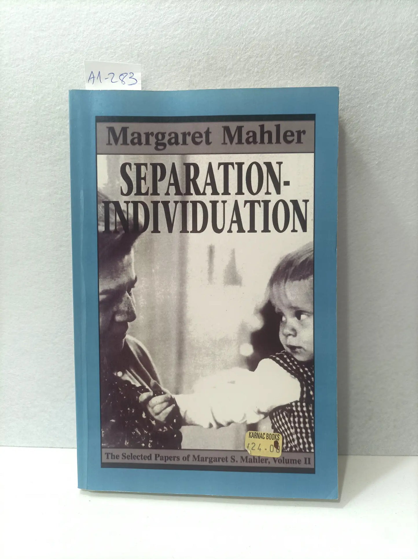 Separation-Individuation.