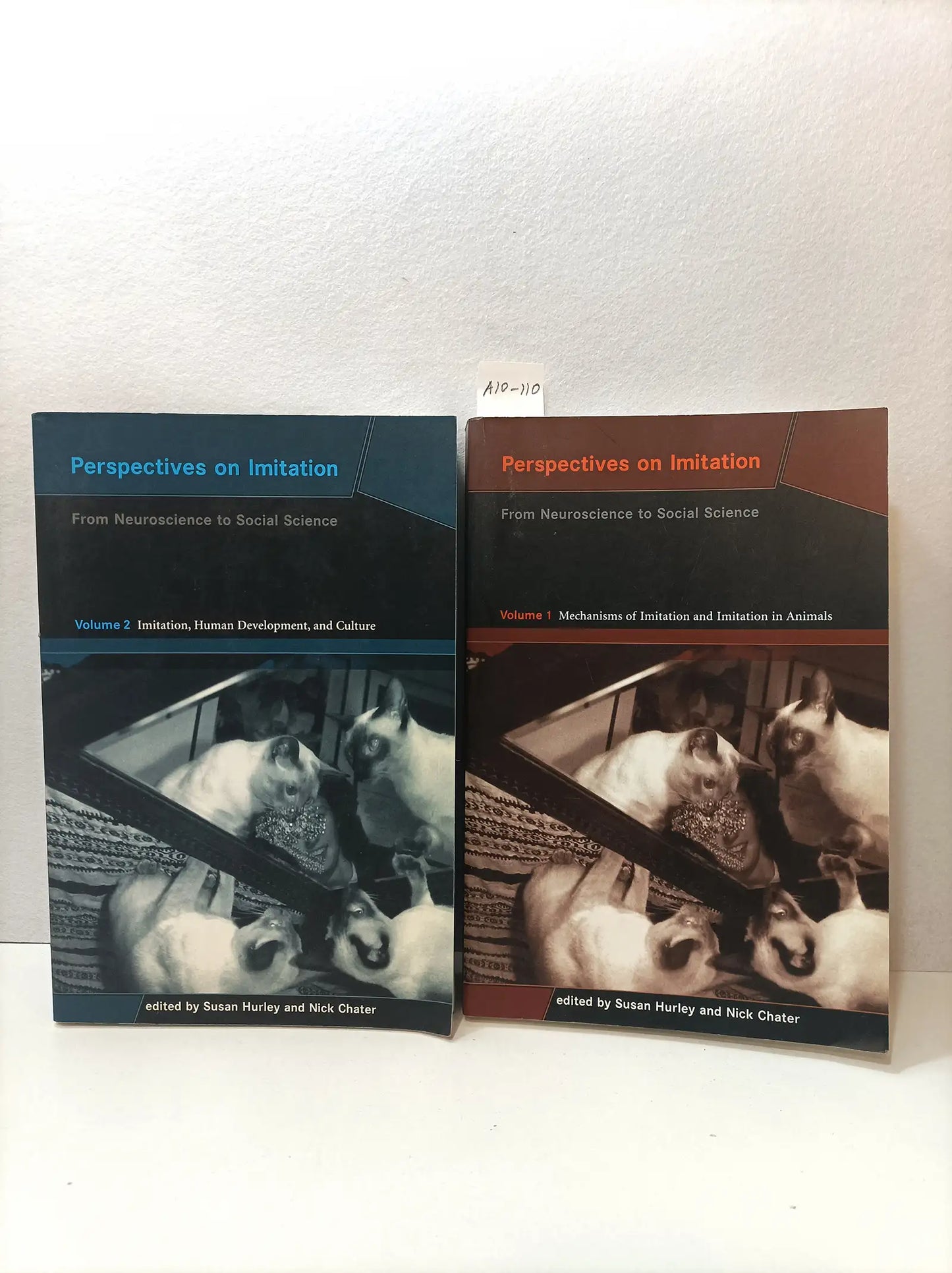 Perspectives on imitation. (2 volumenes).