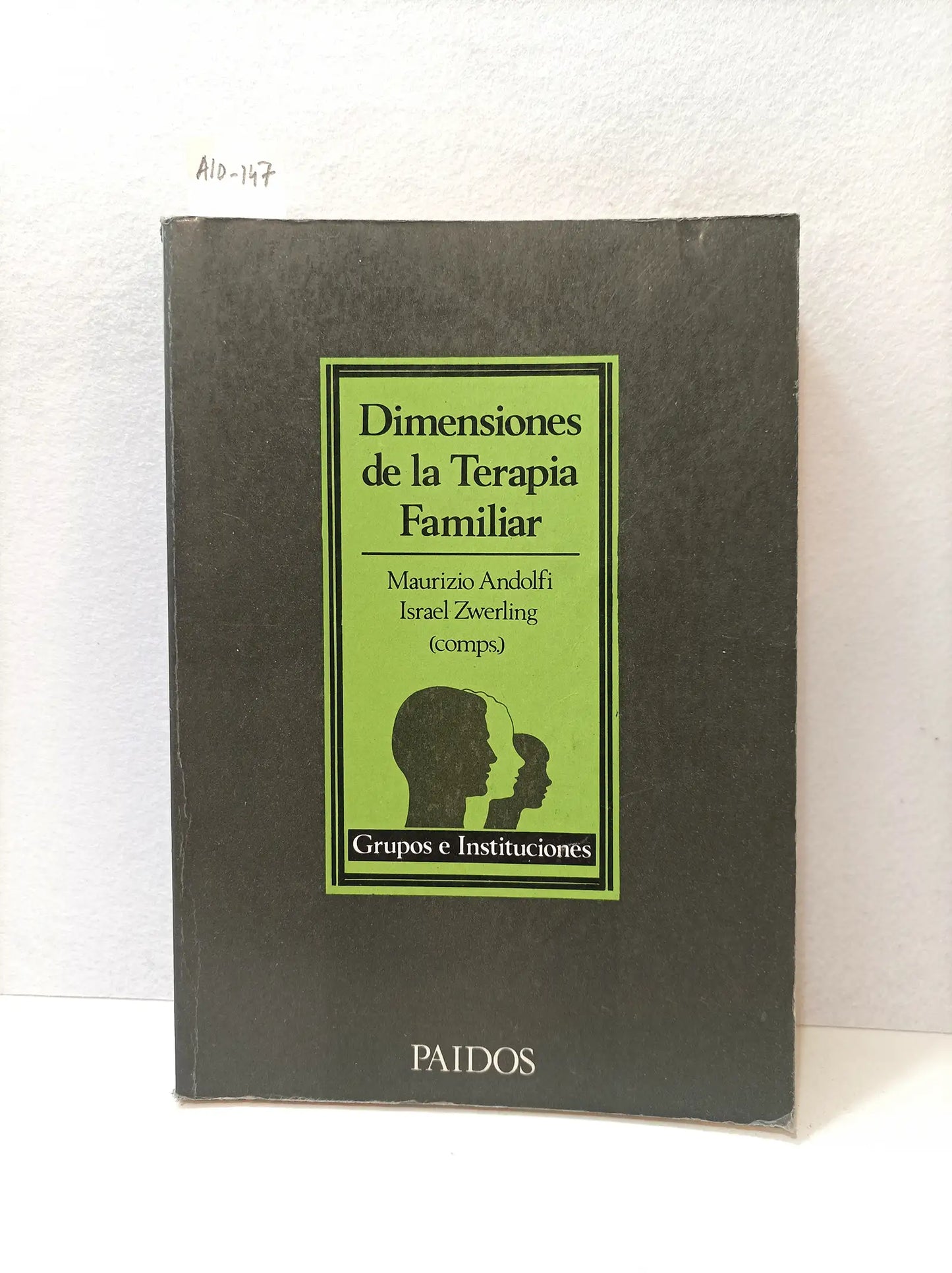 Dimensiones de la terapia familiar.