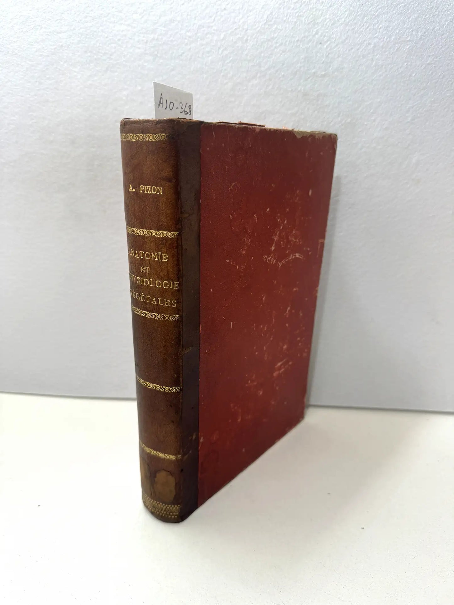 Anatomie et physiologie végétales suivies de l'étude élémentaire des principales familles, de la bactériologie et des fermentations.