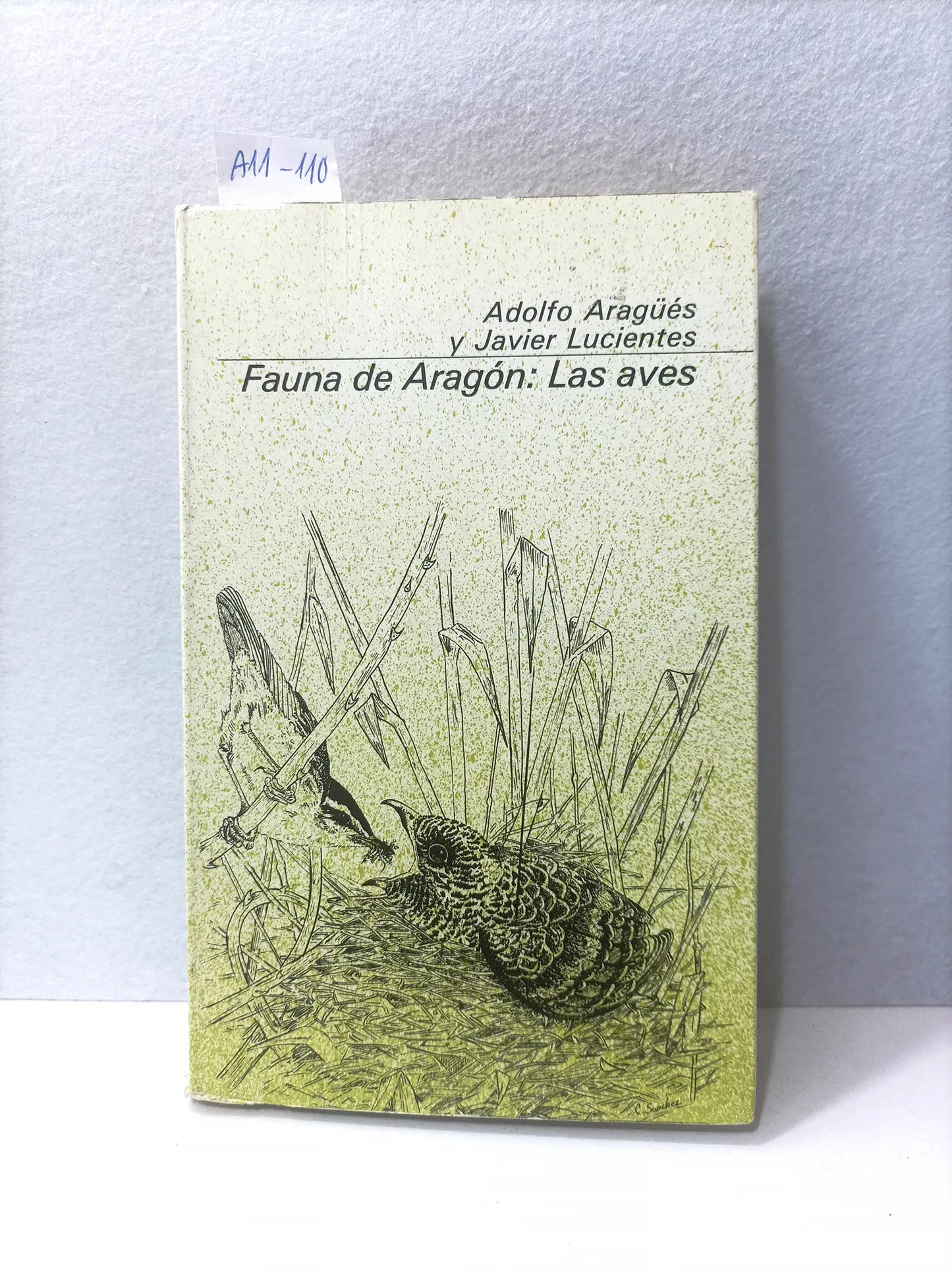 Fauna de Aragón. Las aves, una defensa de nuestro ecosistema.