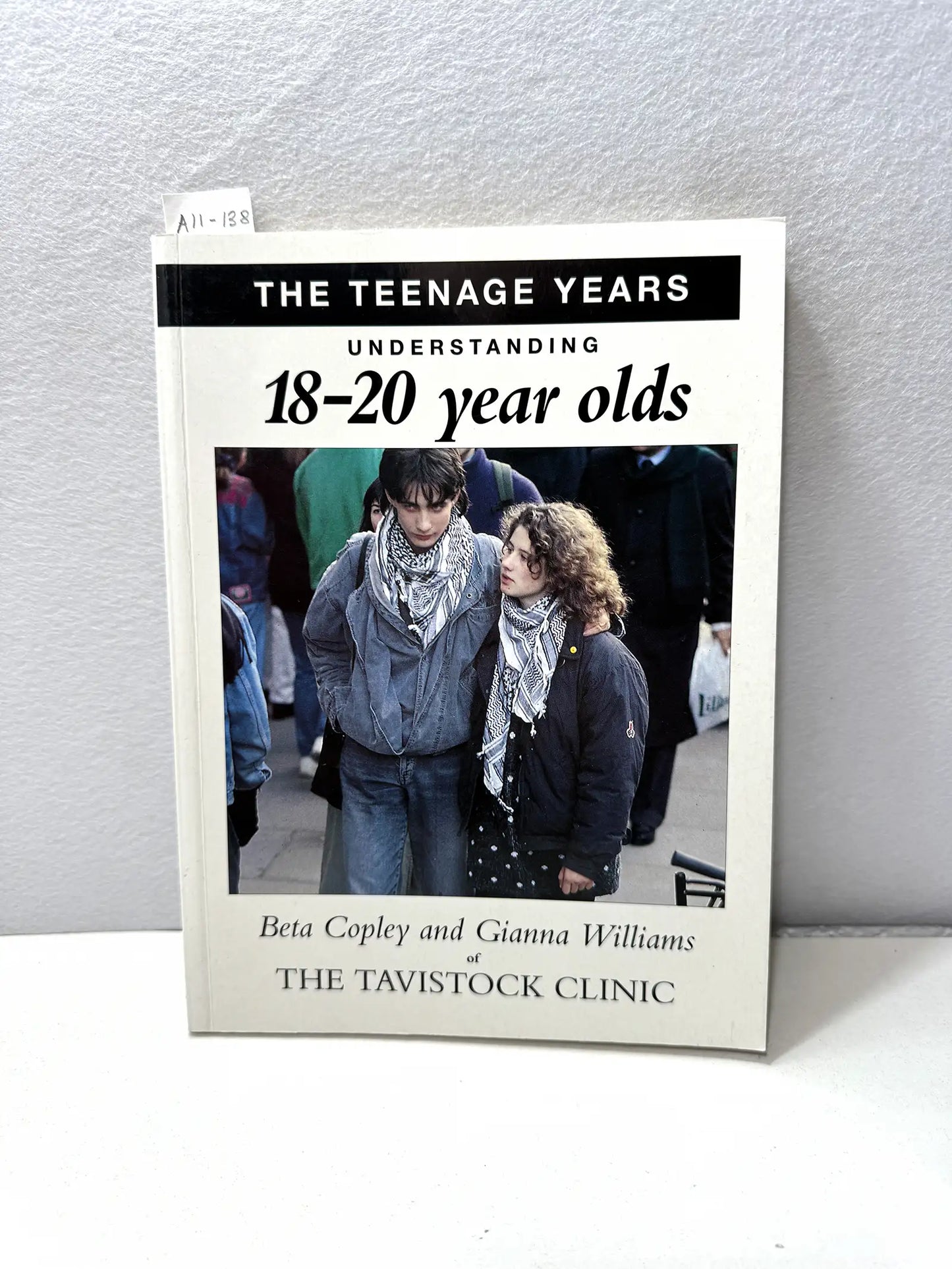 The teenagers years understanding 18-20 years old.