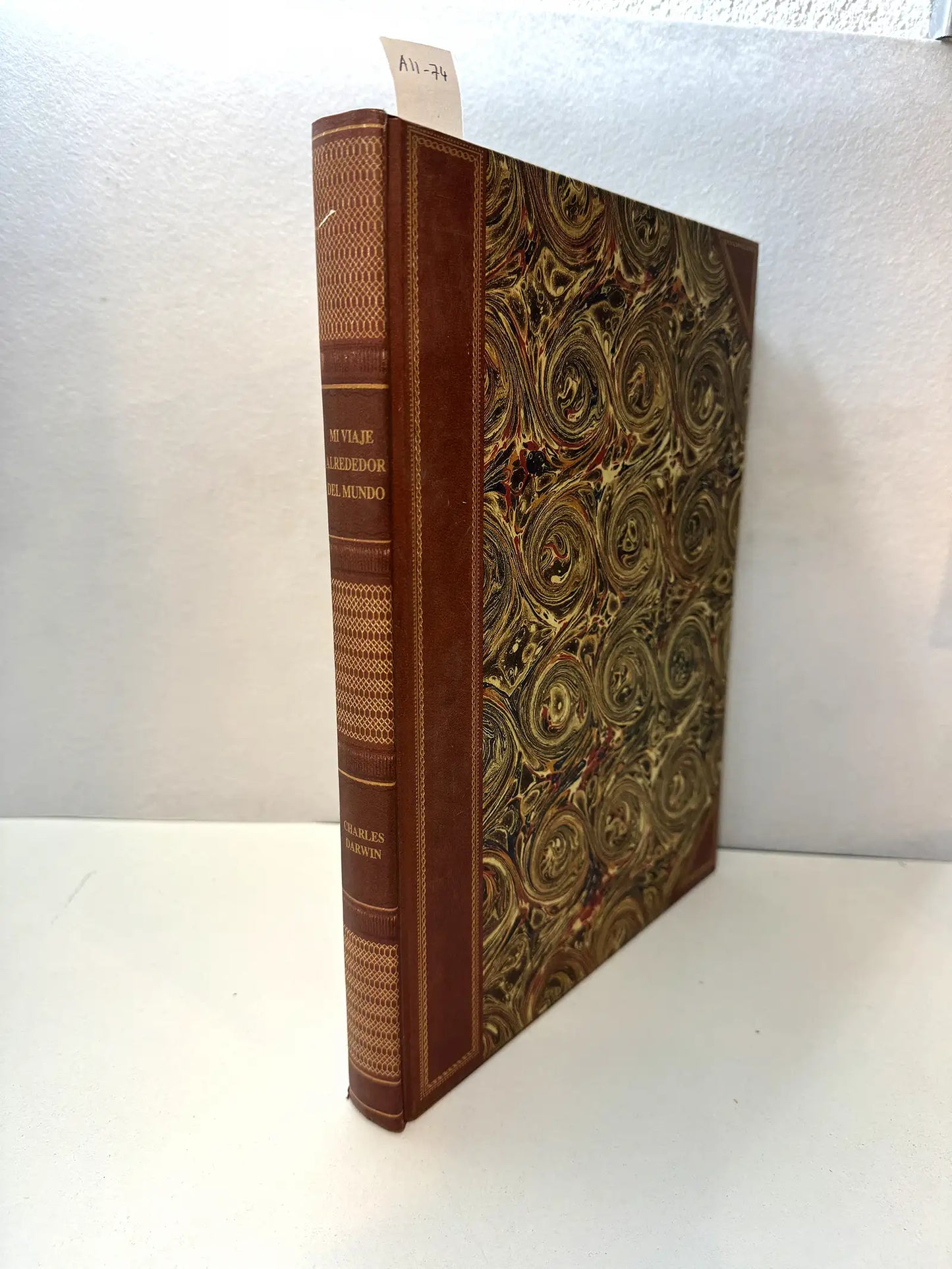 Mi viaje alrededor del mundo.