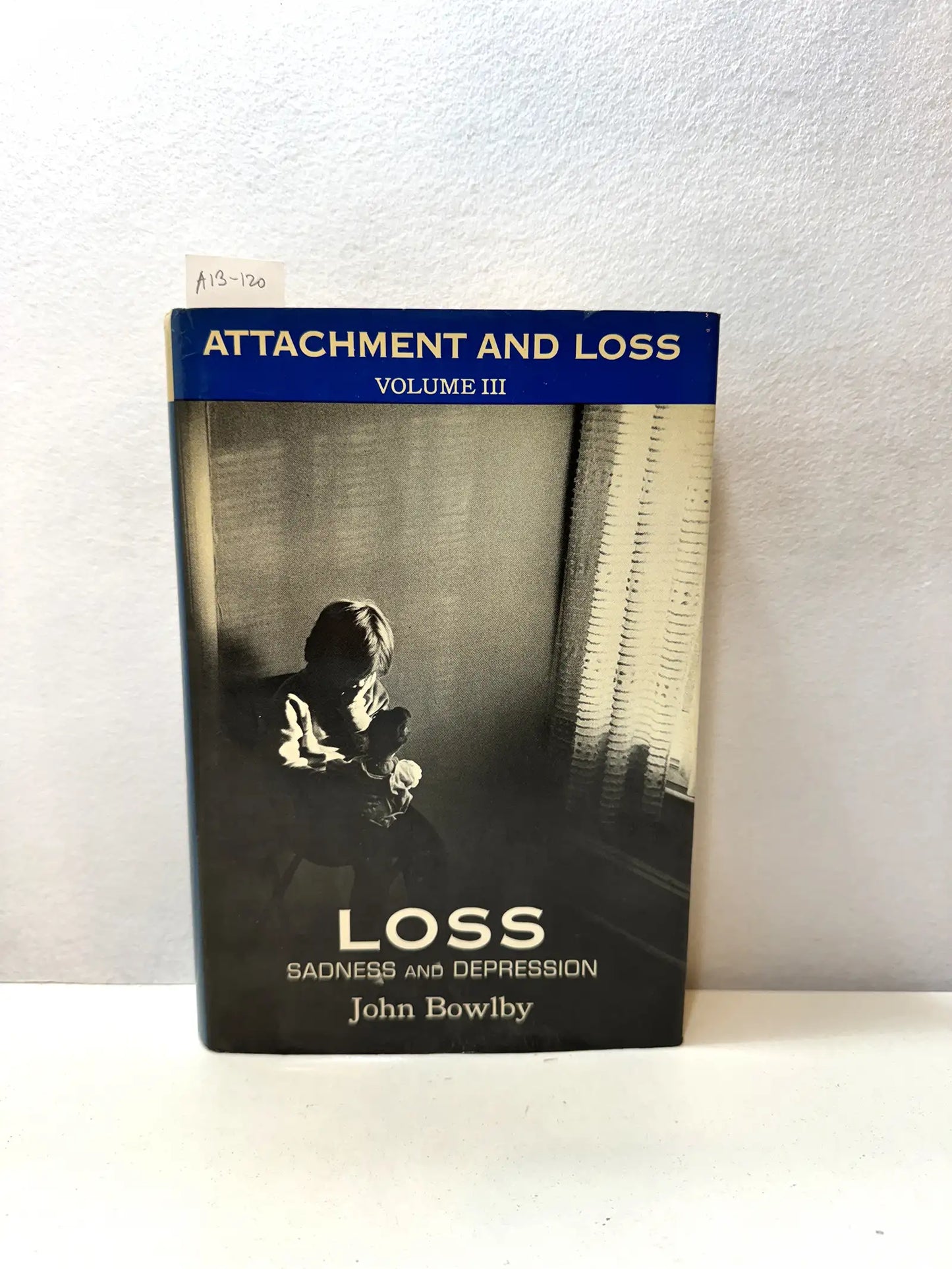 Loss. Sadness and depression. (Attachment and Loss, volume III)