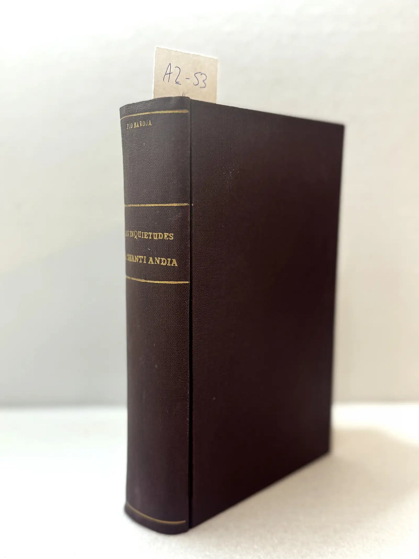Las inquietudes de Shanti Andía.