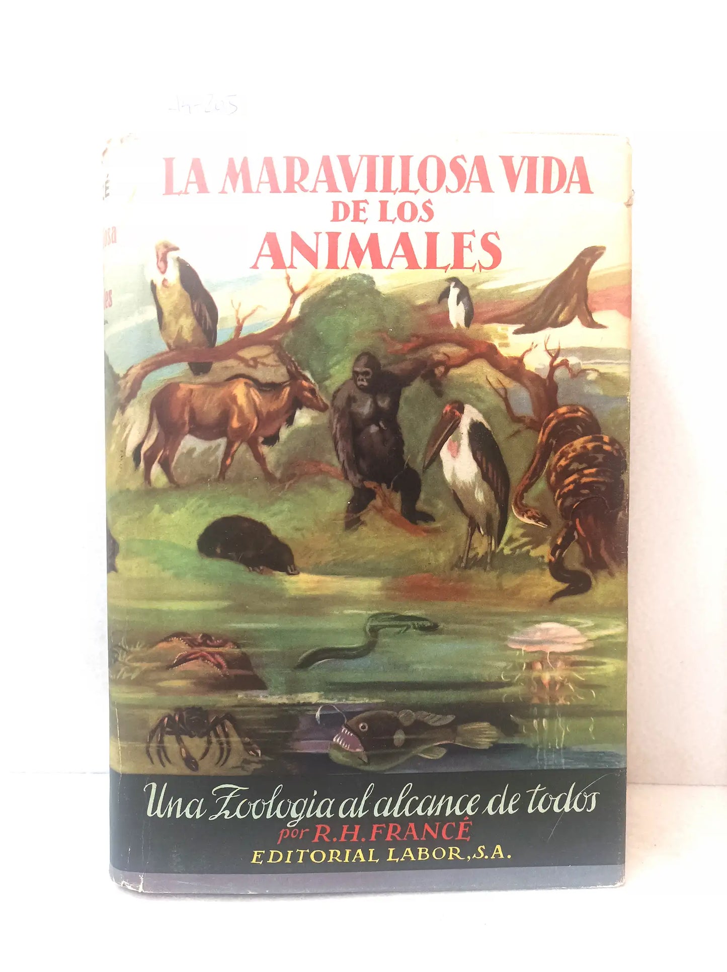 La maravillosa vida de los animales.