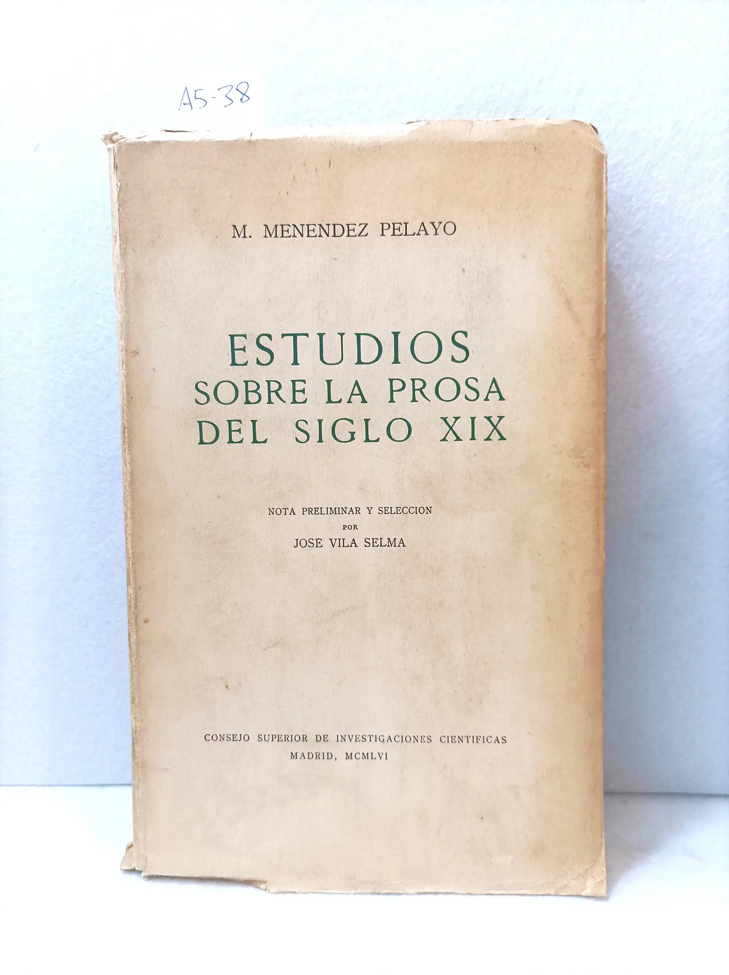 Estudios sobre la prosa del siglo XIX.