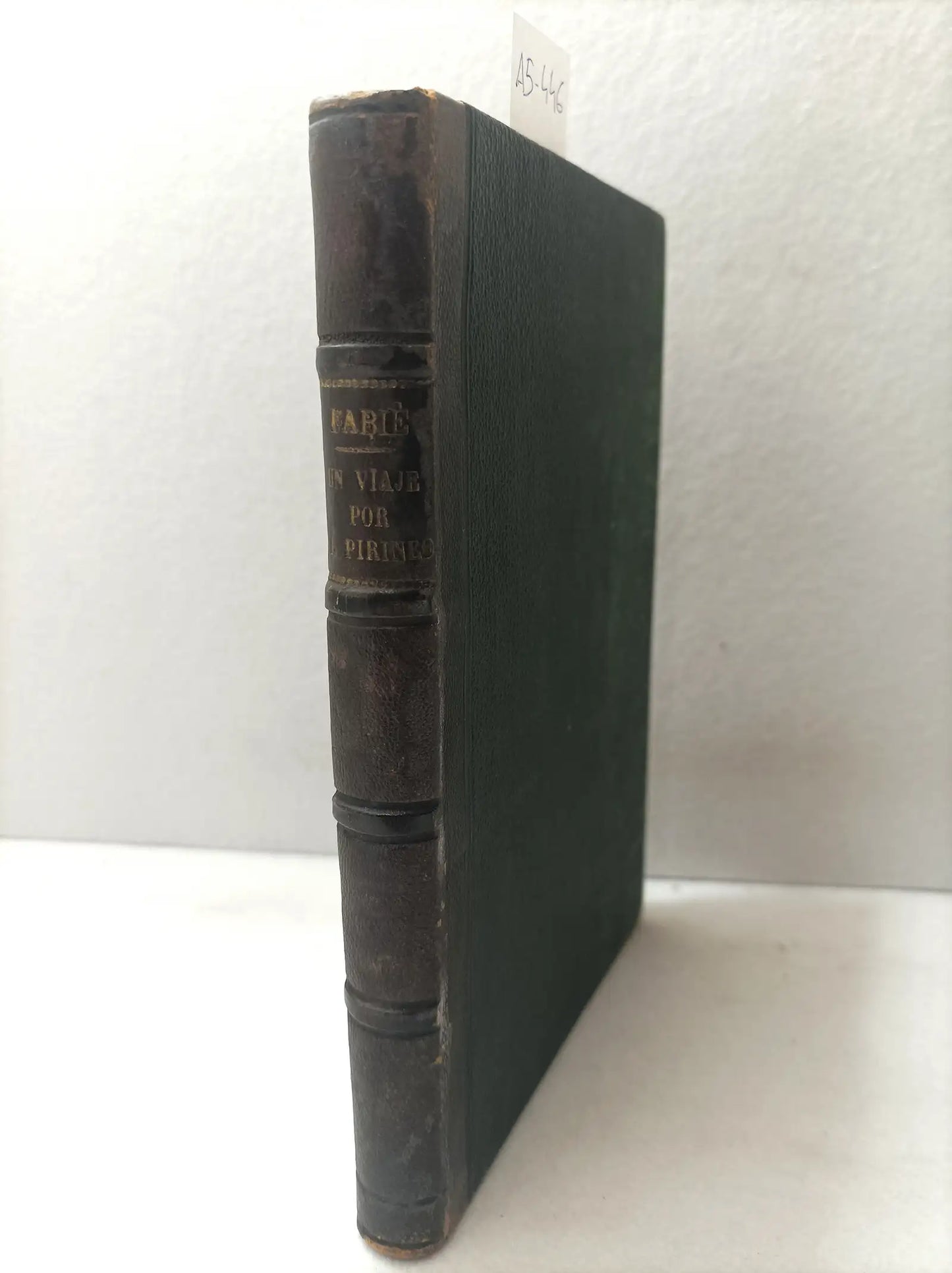 Notas y apuntes de un viaje por el pirineo y por la turena hecho en el verano de 1876.