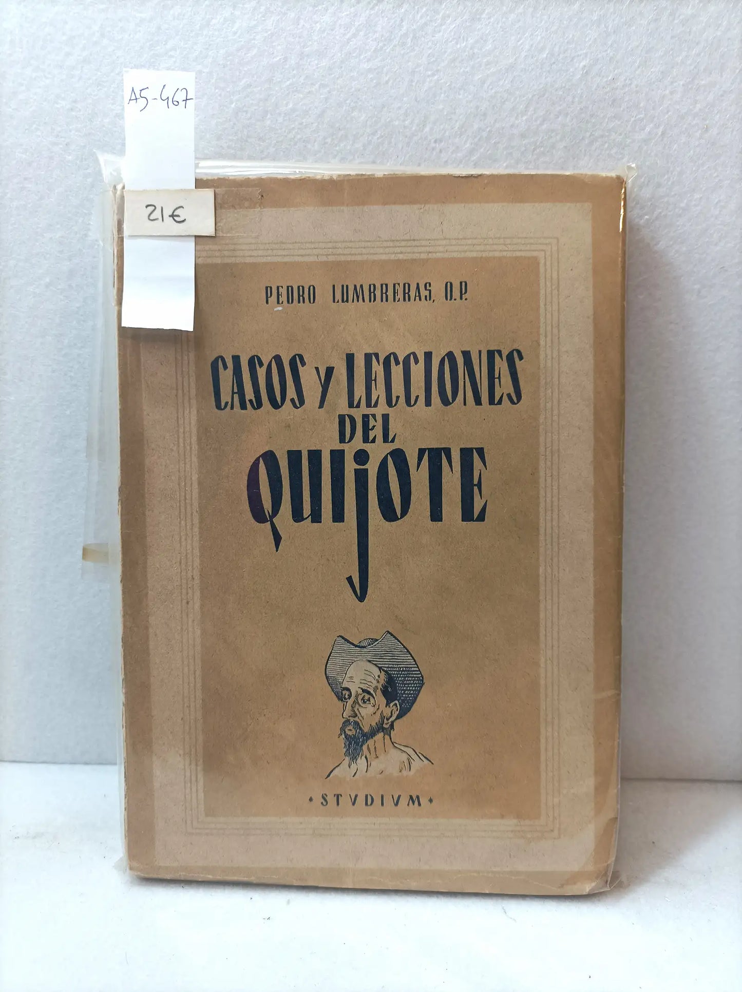 Casos y lecciones del Quijote.