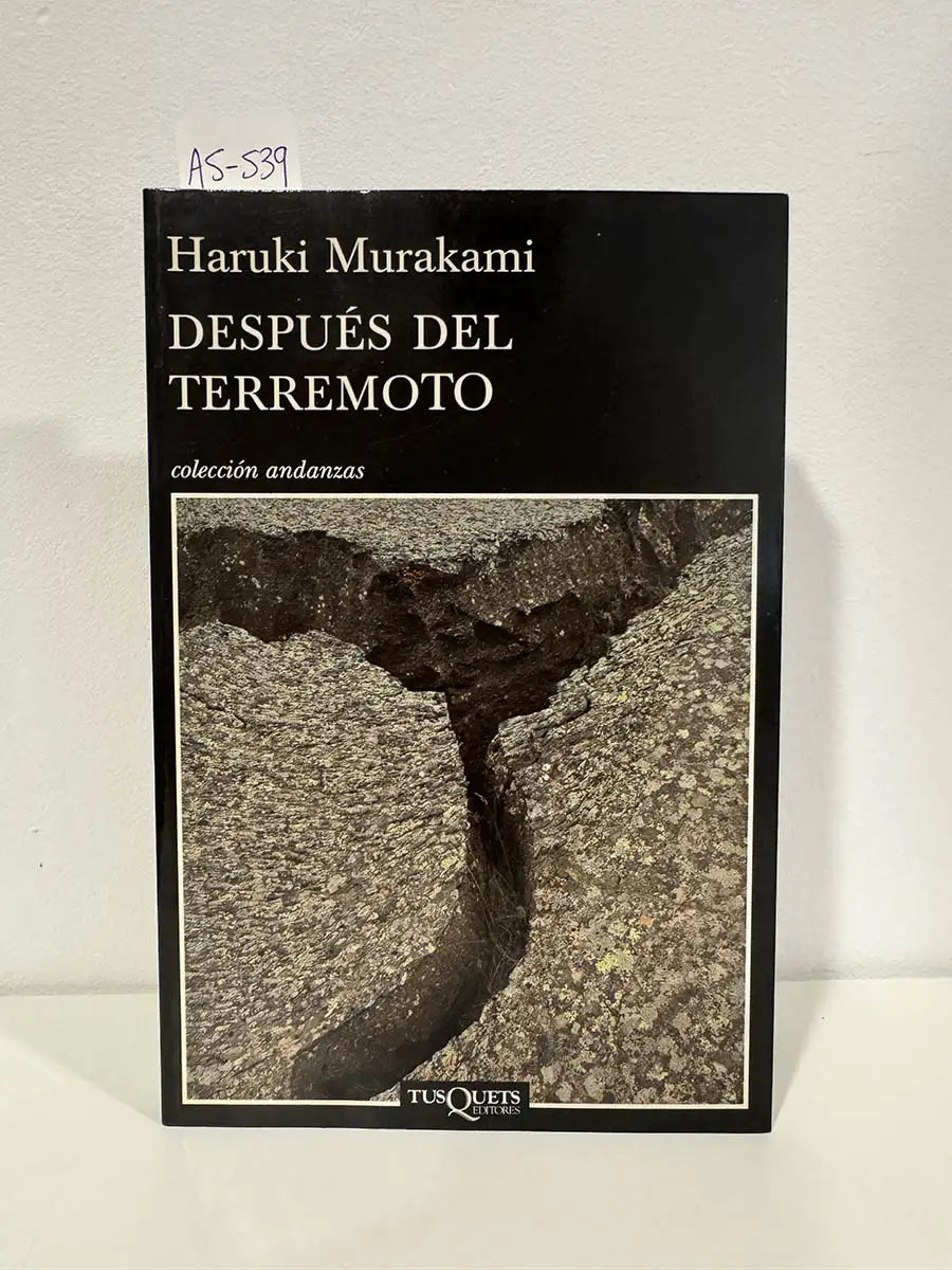 Después del terremoto.