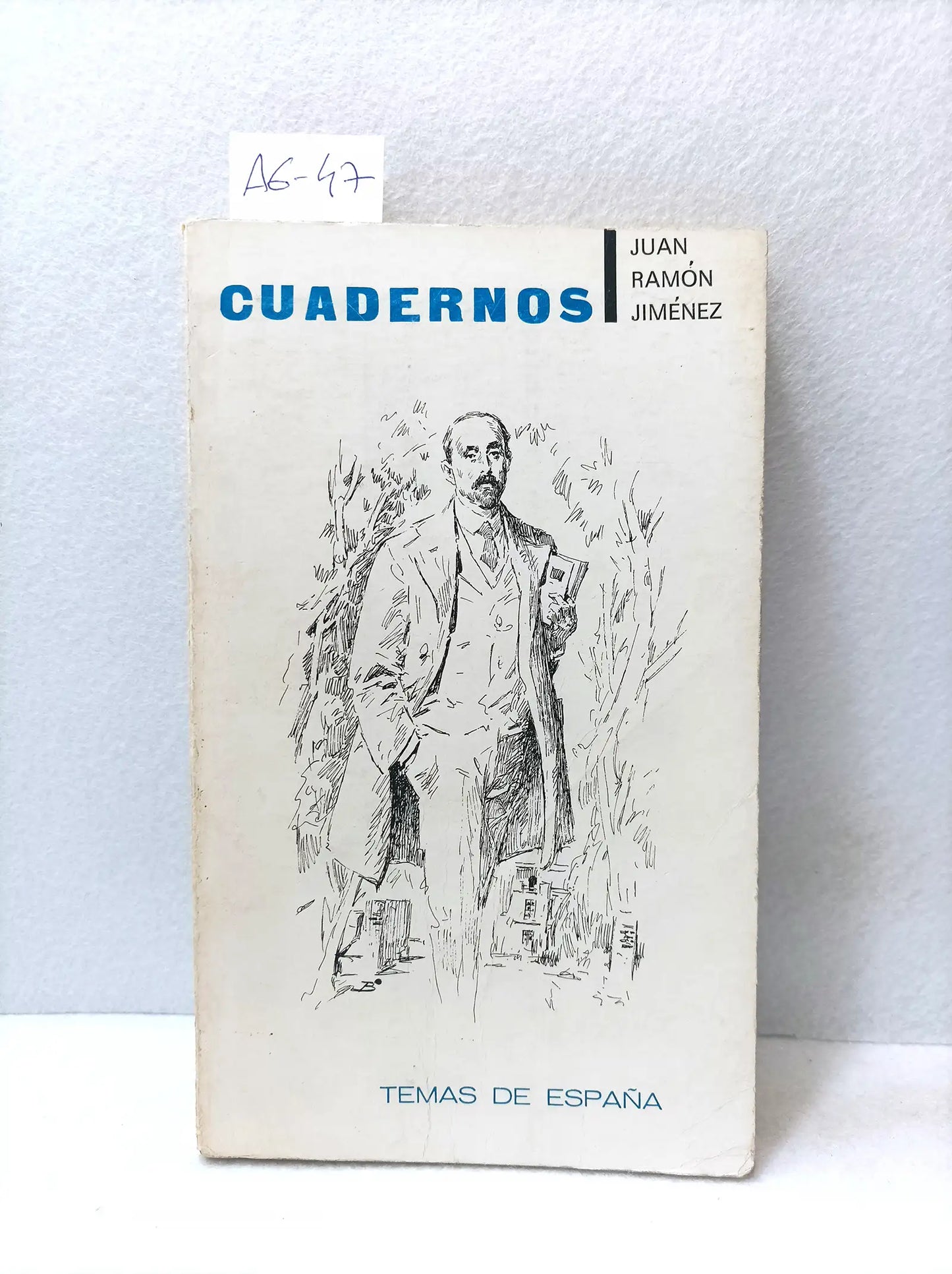 Cuadernos.