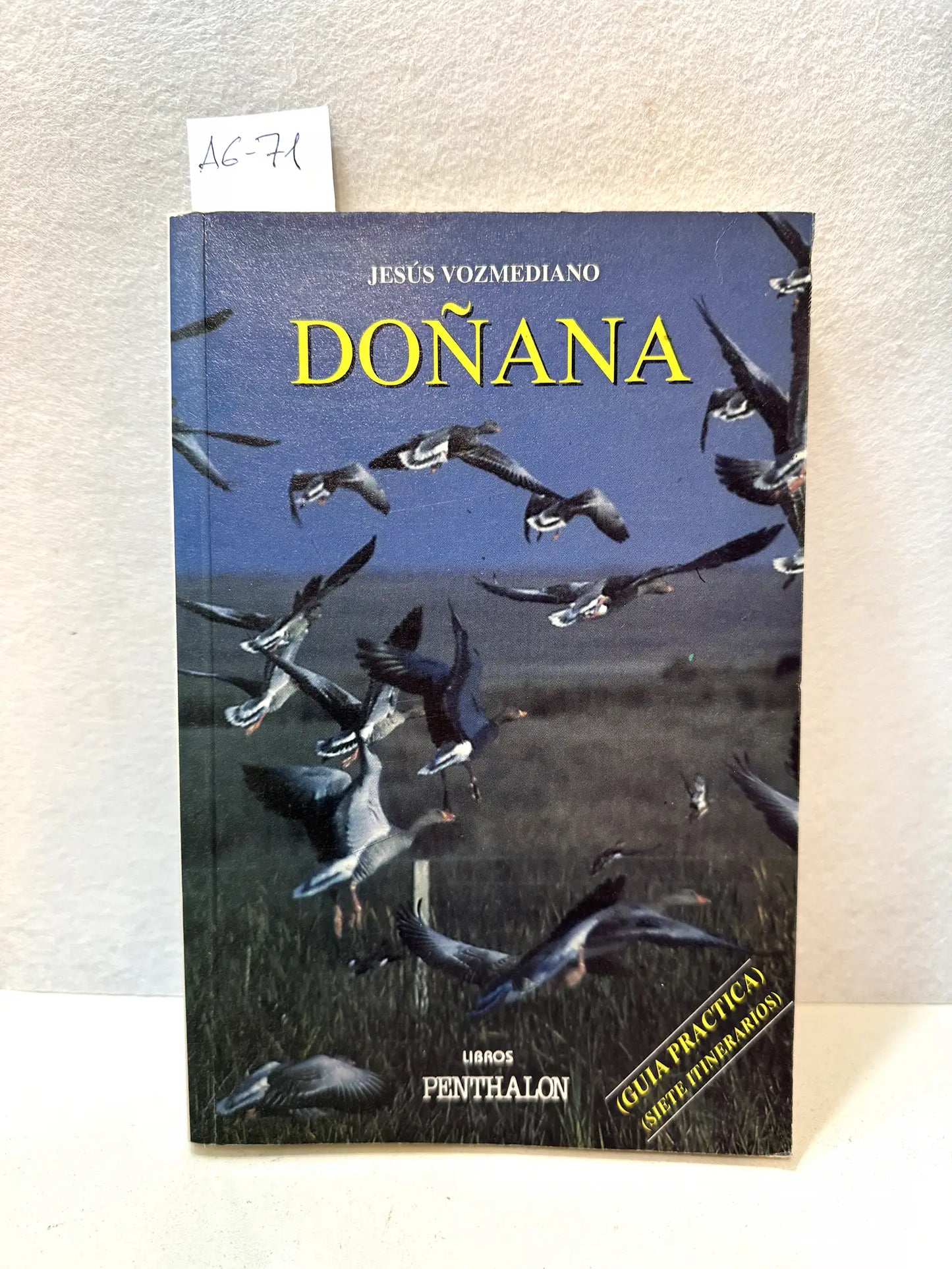 Doñana. Guía práctica.