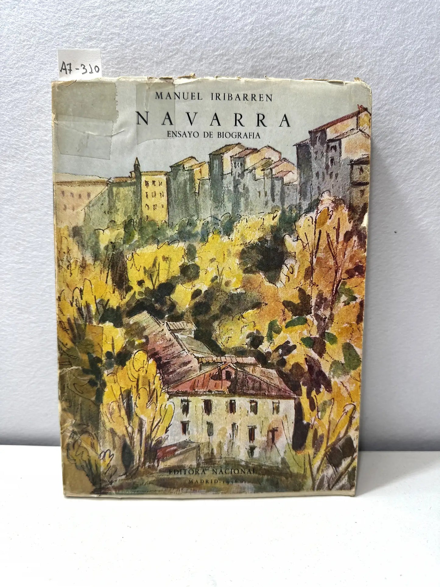 Navarra. Ensayo de biografía.