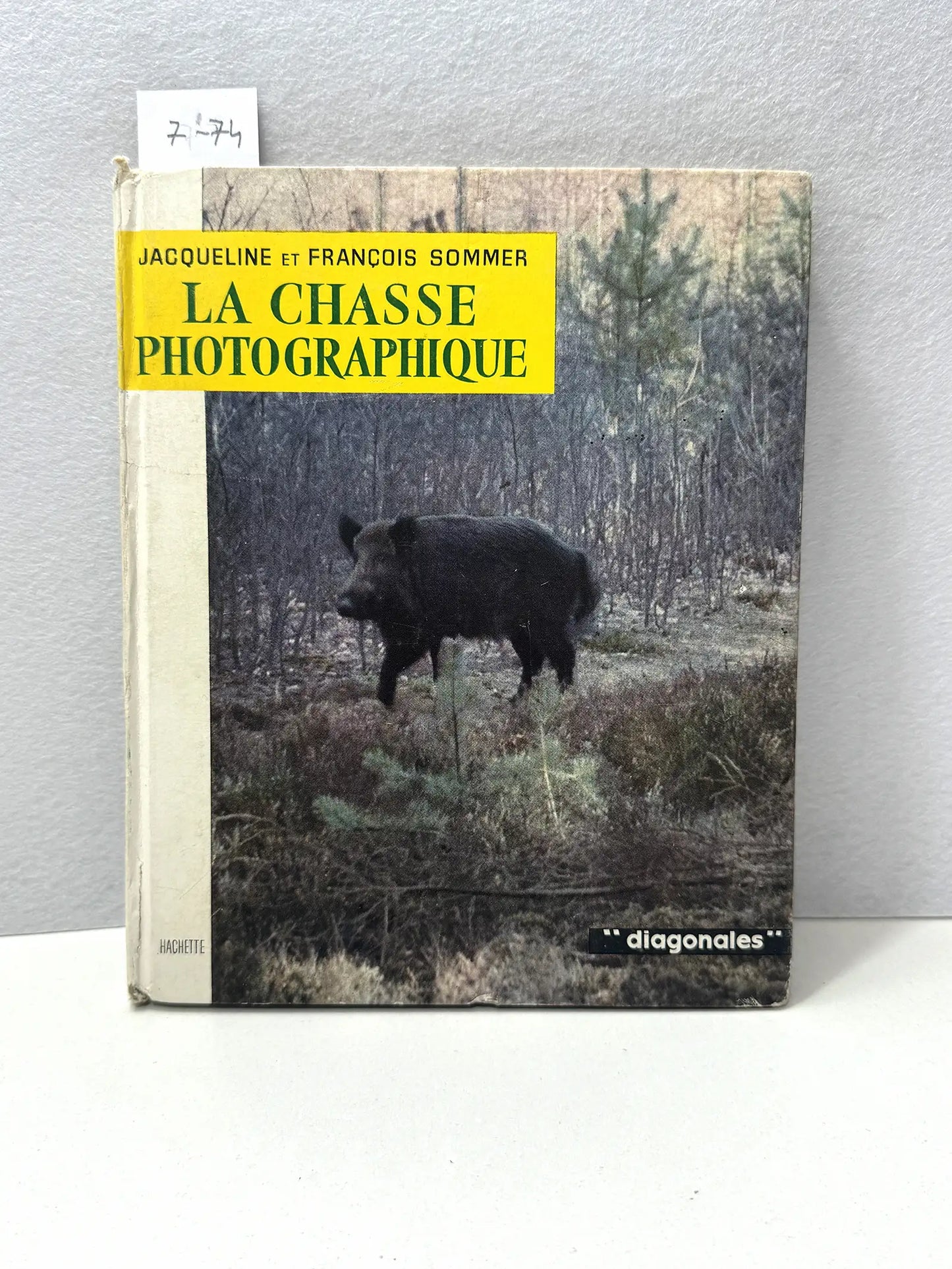 La chasse photographique.