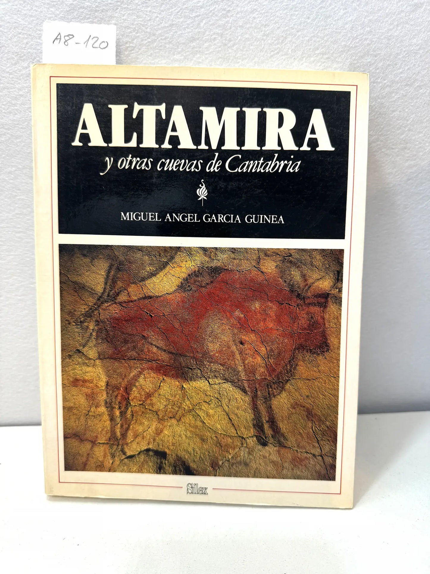 Altamira y otras cuevas de Cantabria.