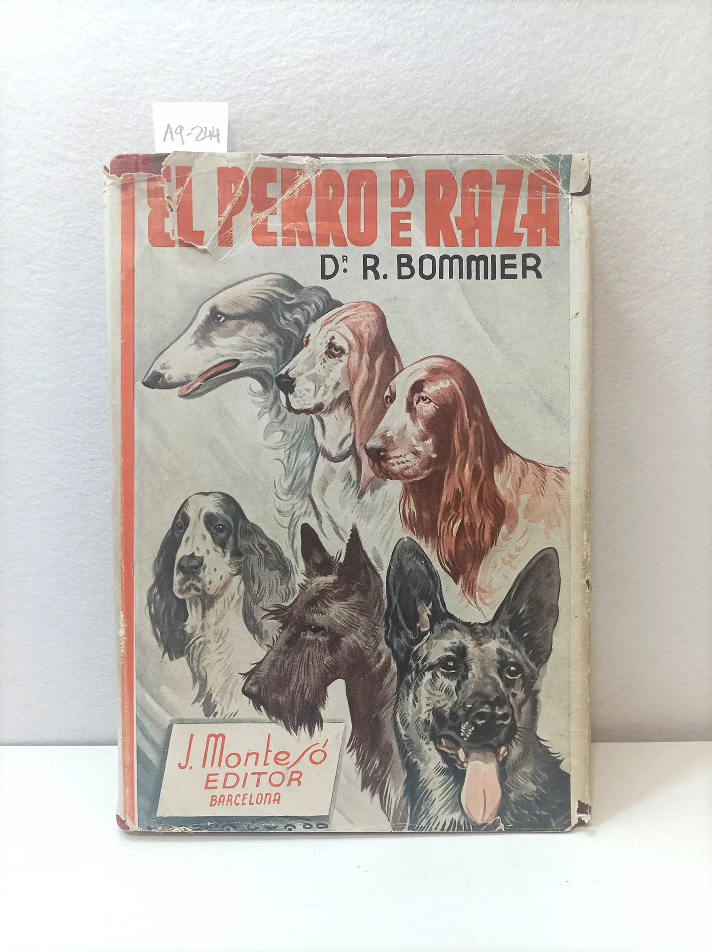 El perro de raza.