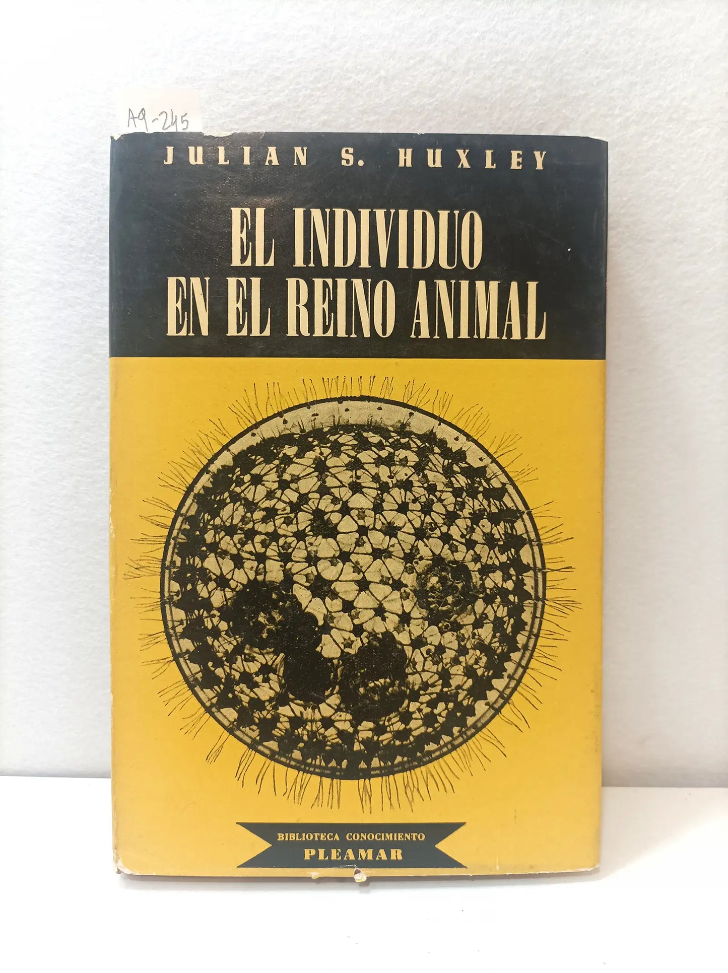 El individuo en el reino animal.