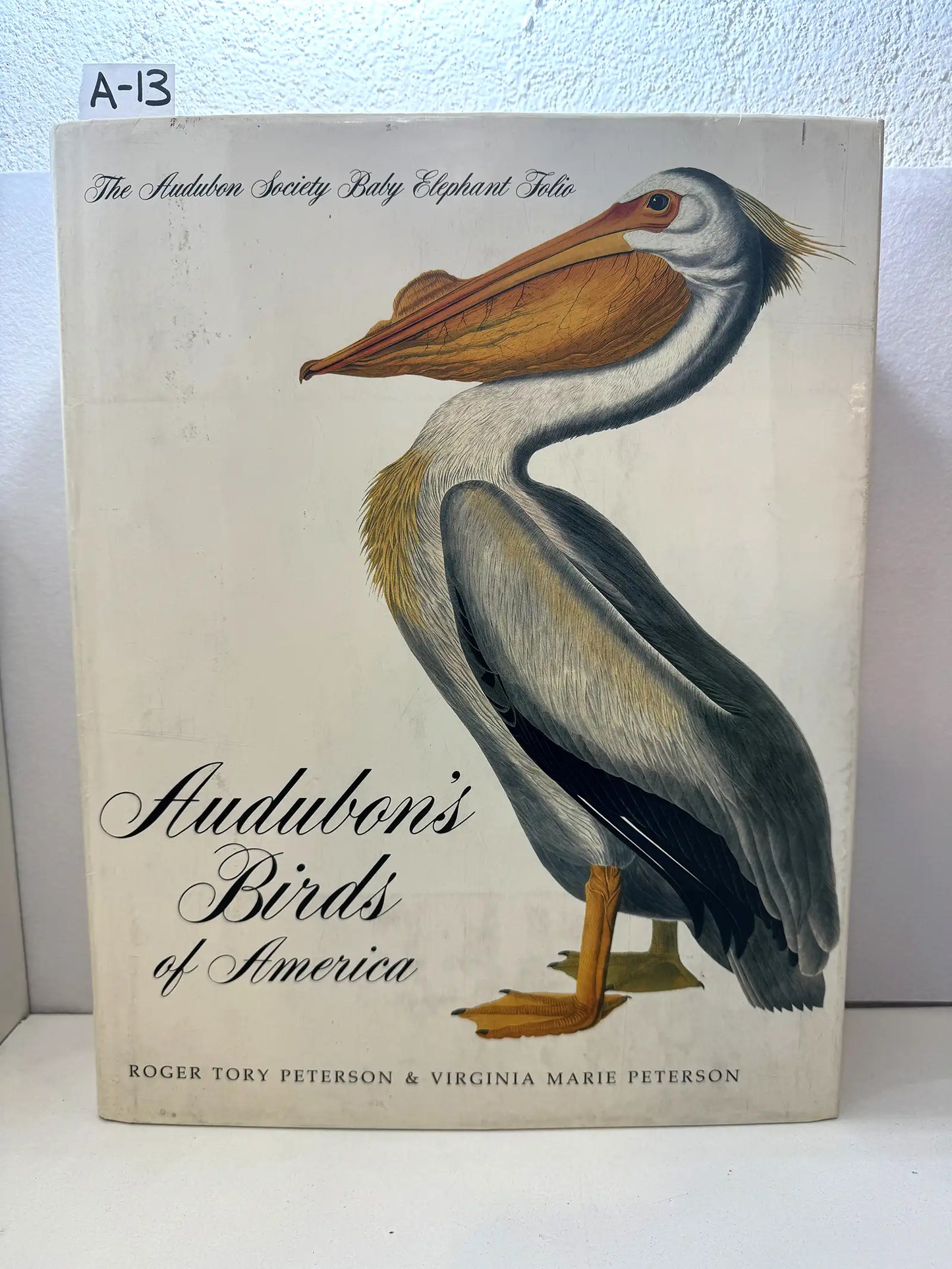 Audubon's birds of America.