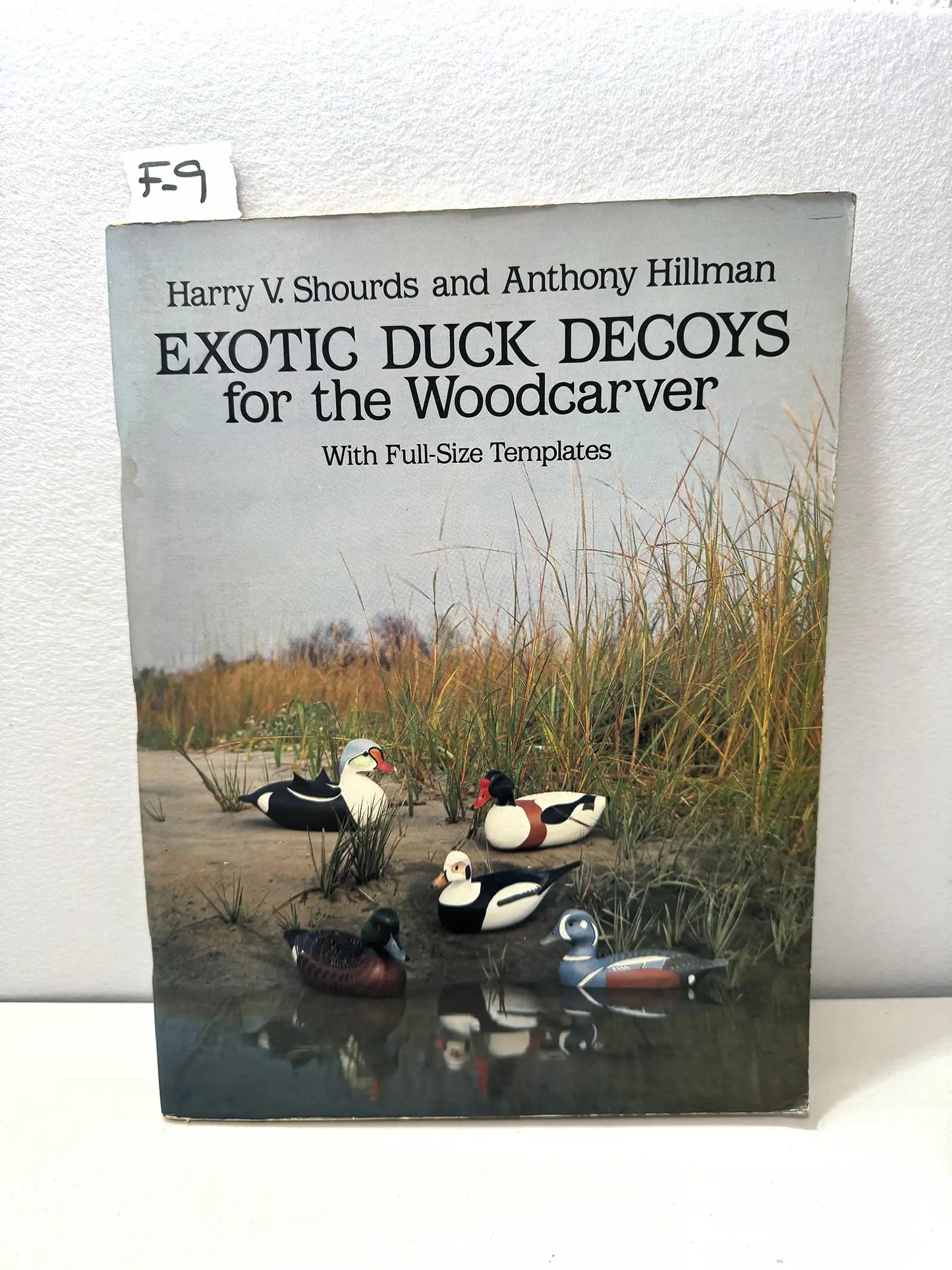 Exotic duck decoys for the woodcarver.