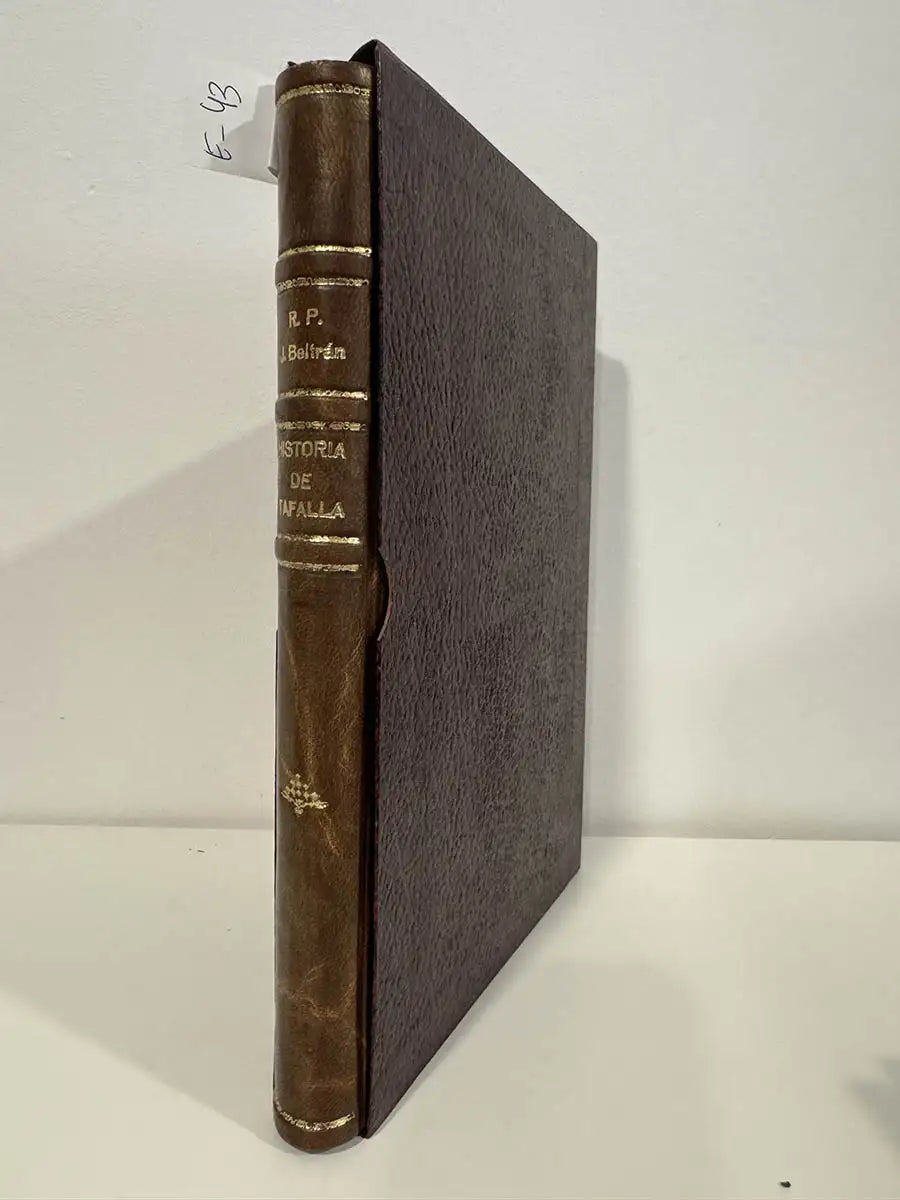 Historia completa y documentada de Tafalla.