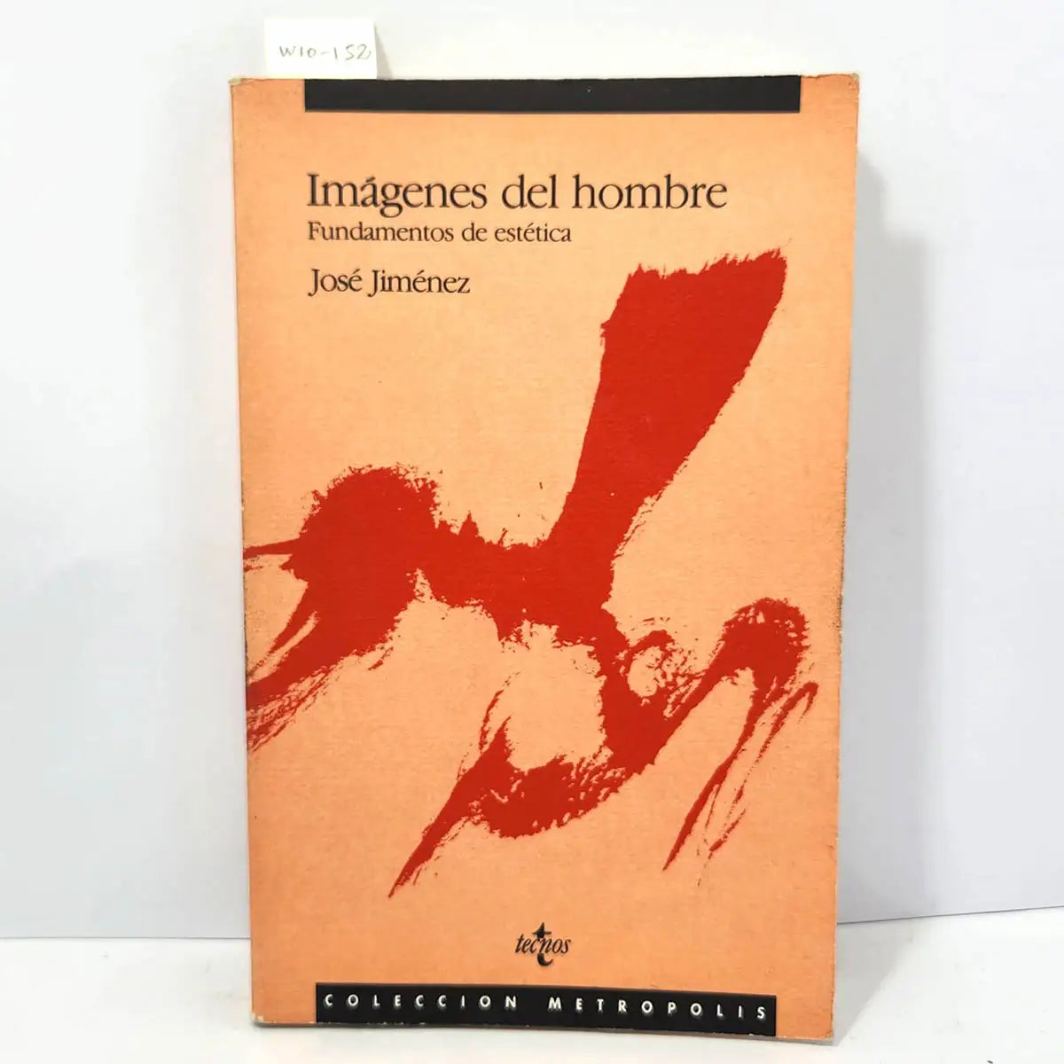 Imágenes del Hombre. Fundamentos de Estética.