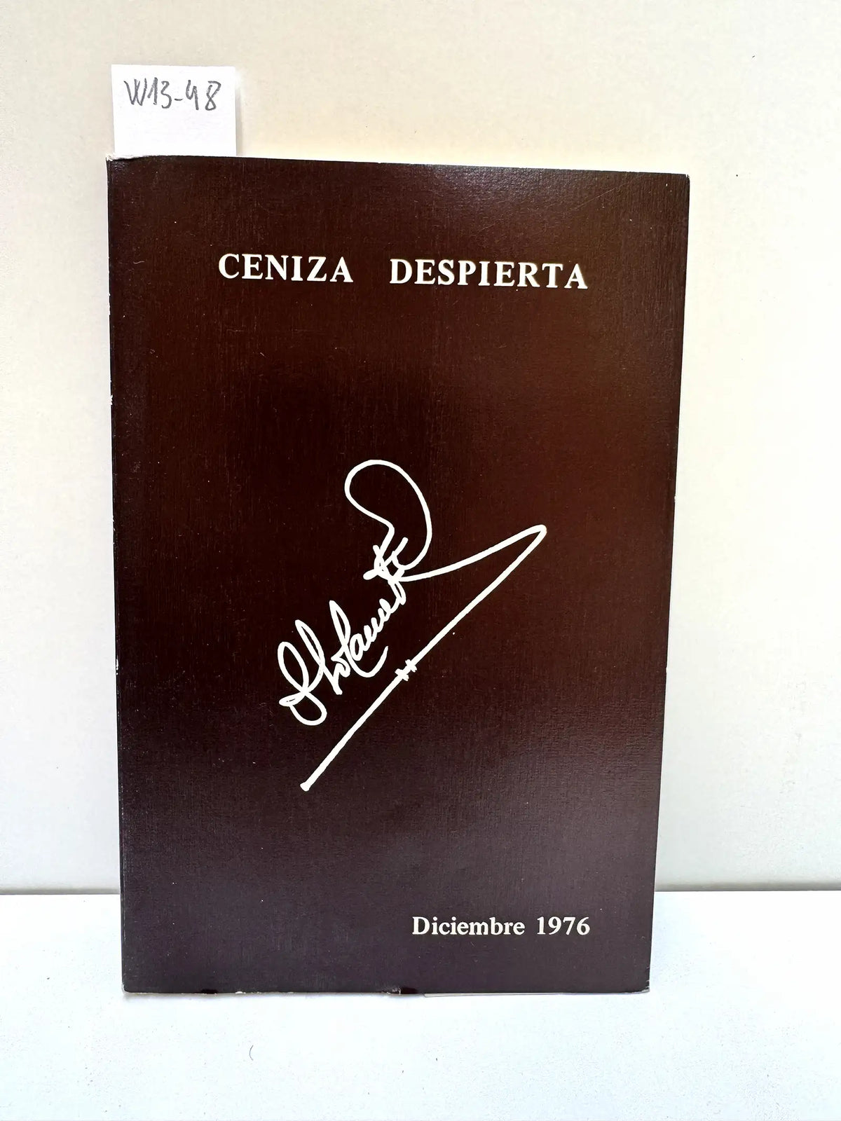 Ceniza Despierta. — SOLANA FUENTES, Pablo.