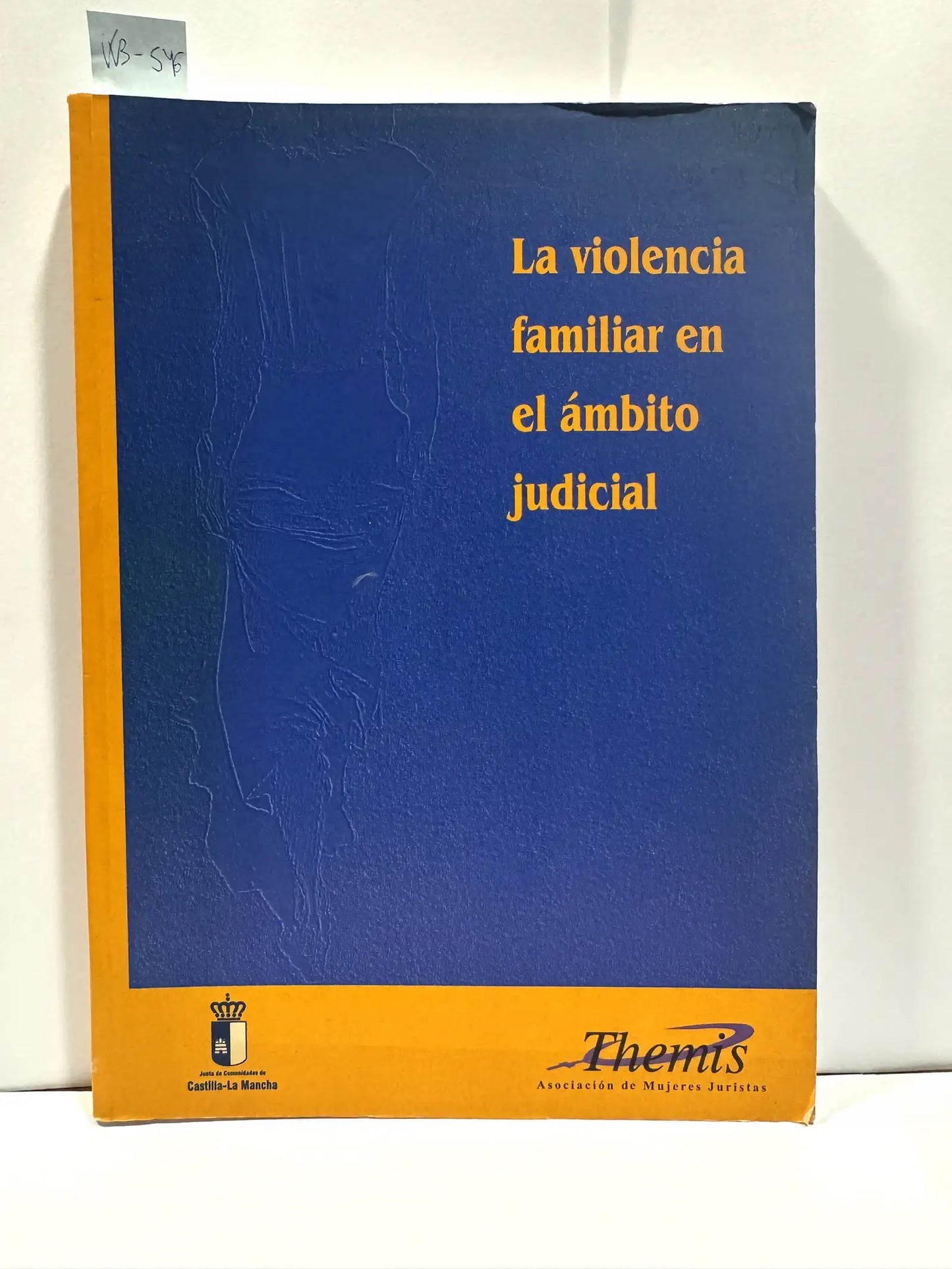 La violencia familiar en el ámbito judicial.