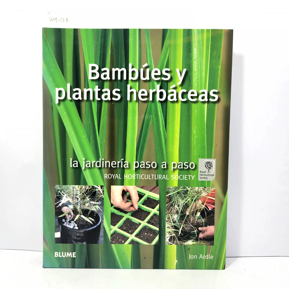 Bambúes y plantas herbáceas. La Jardinería paso a paso. — ARDLE, Jon.