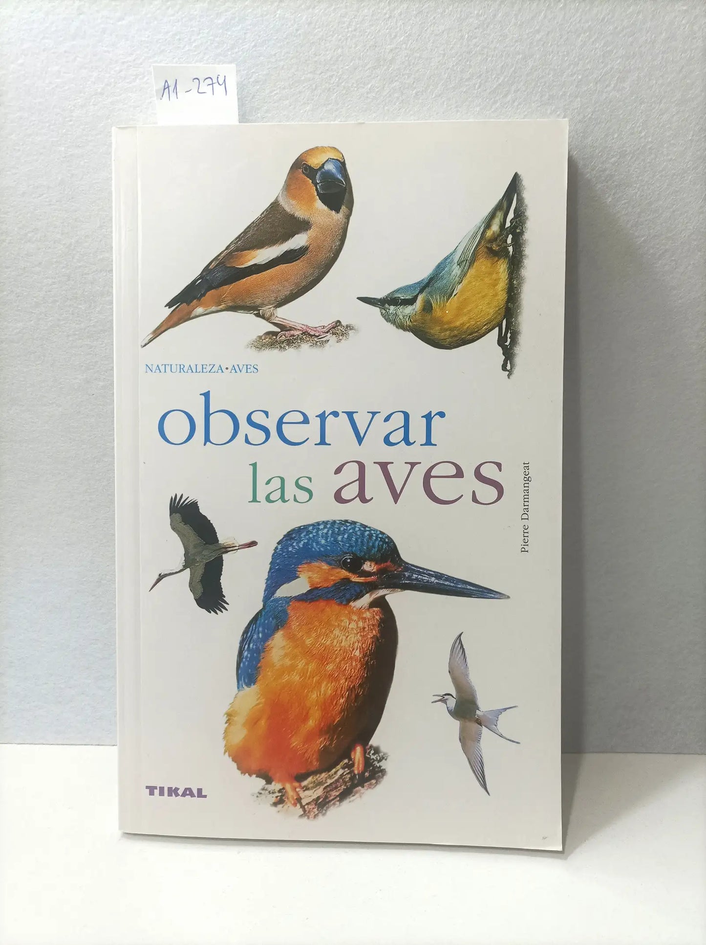 Observar las aves.
