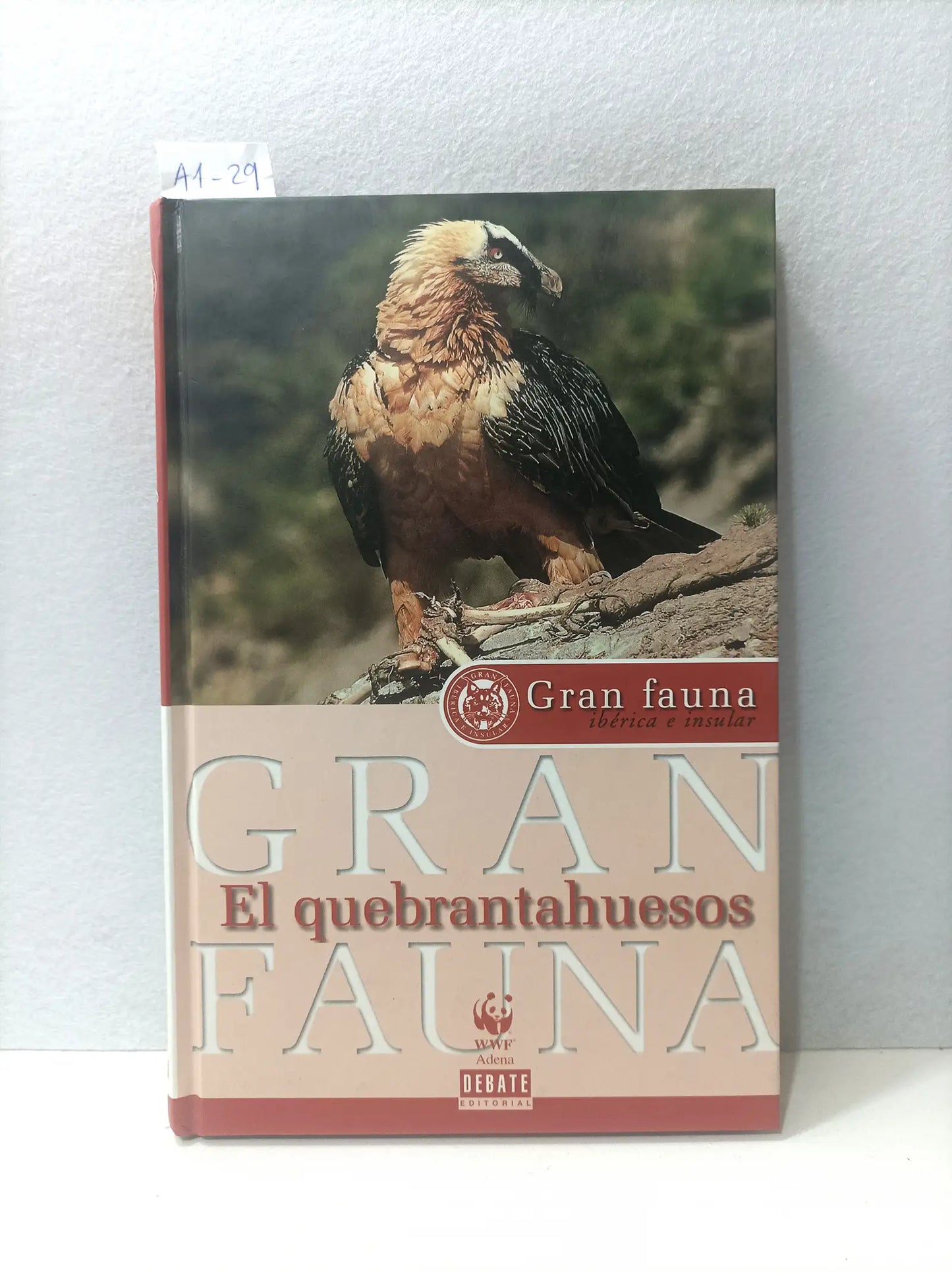 Gran fauna ibérica. El quebrantahuesos.