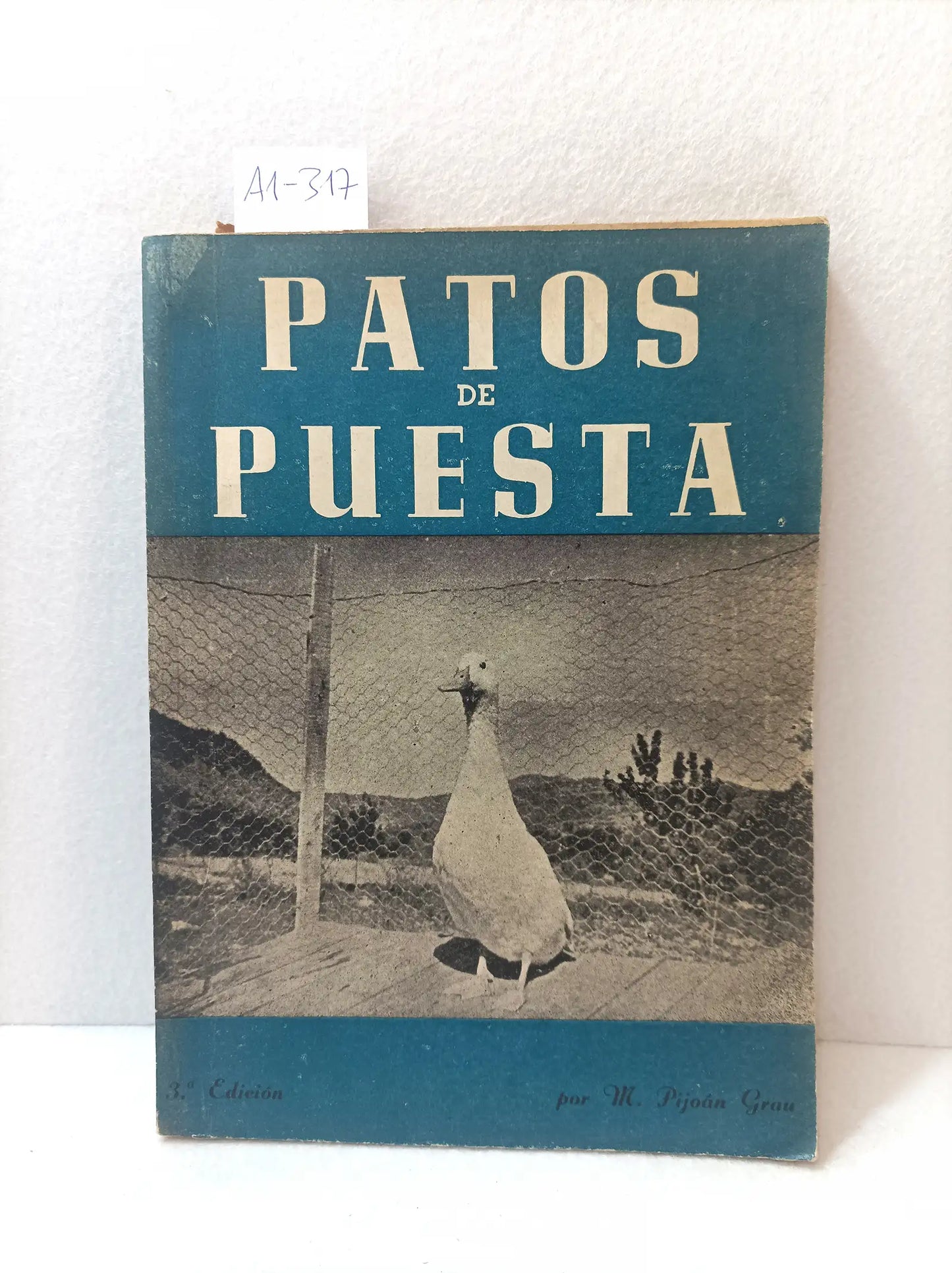 Patos de puesta.