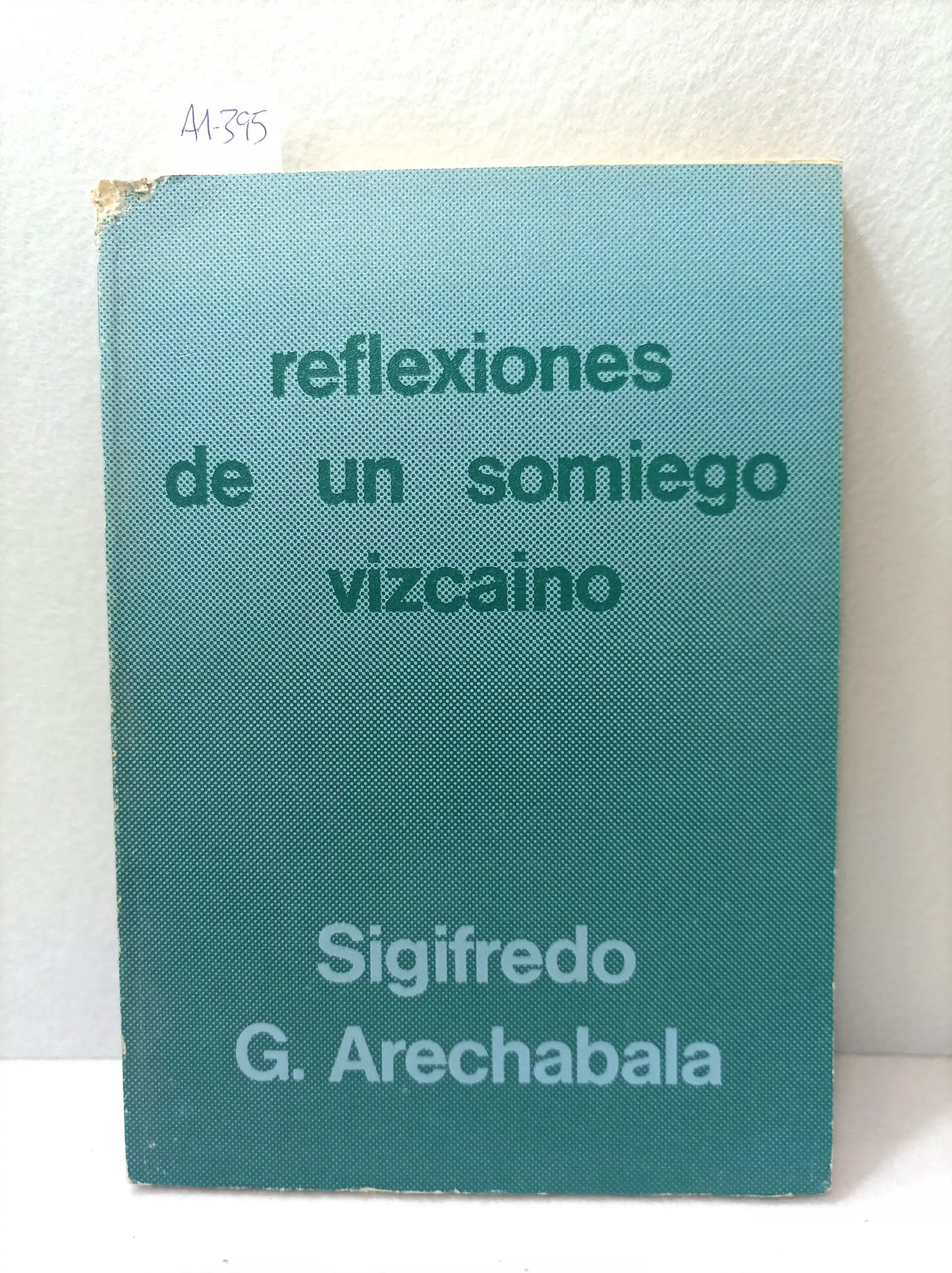 Reflexiones de un somiego vizcaíno.