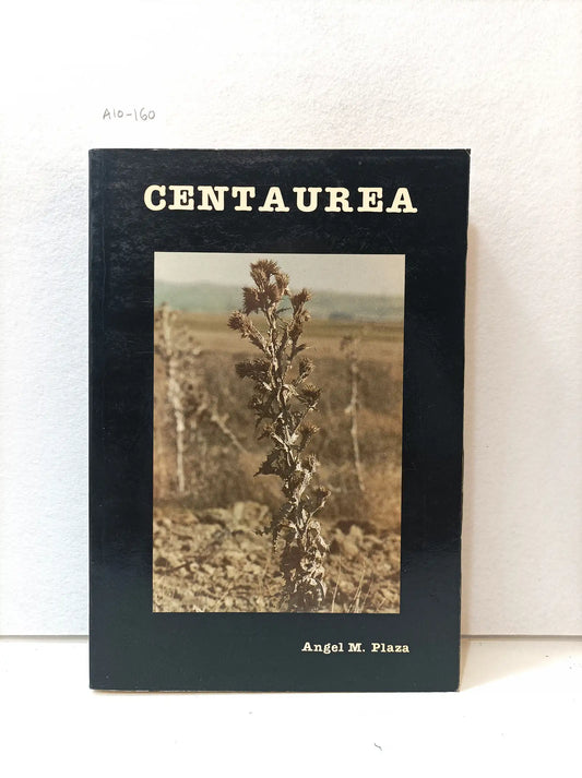 Centaurea.