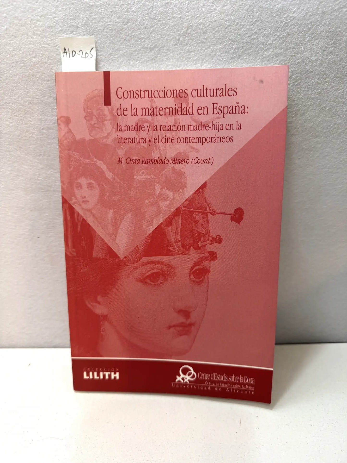 Construcciones culturales de la maternidad en España: la madre y la relación madre-hija en la literatura y el cine contemporáneos.