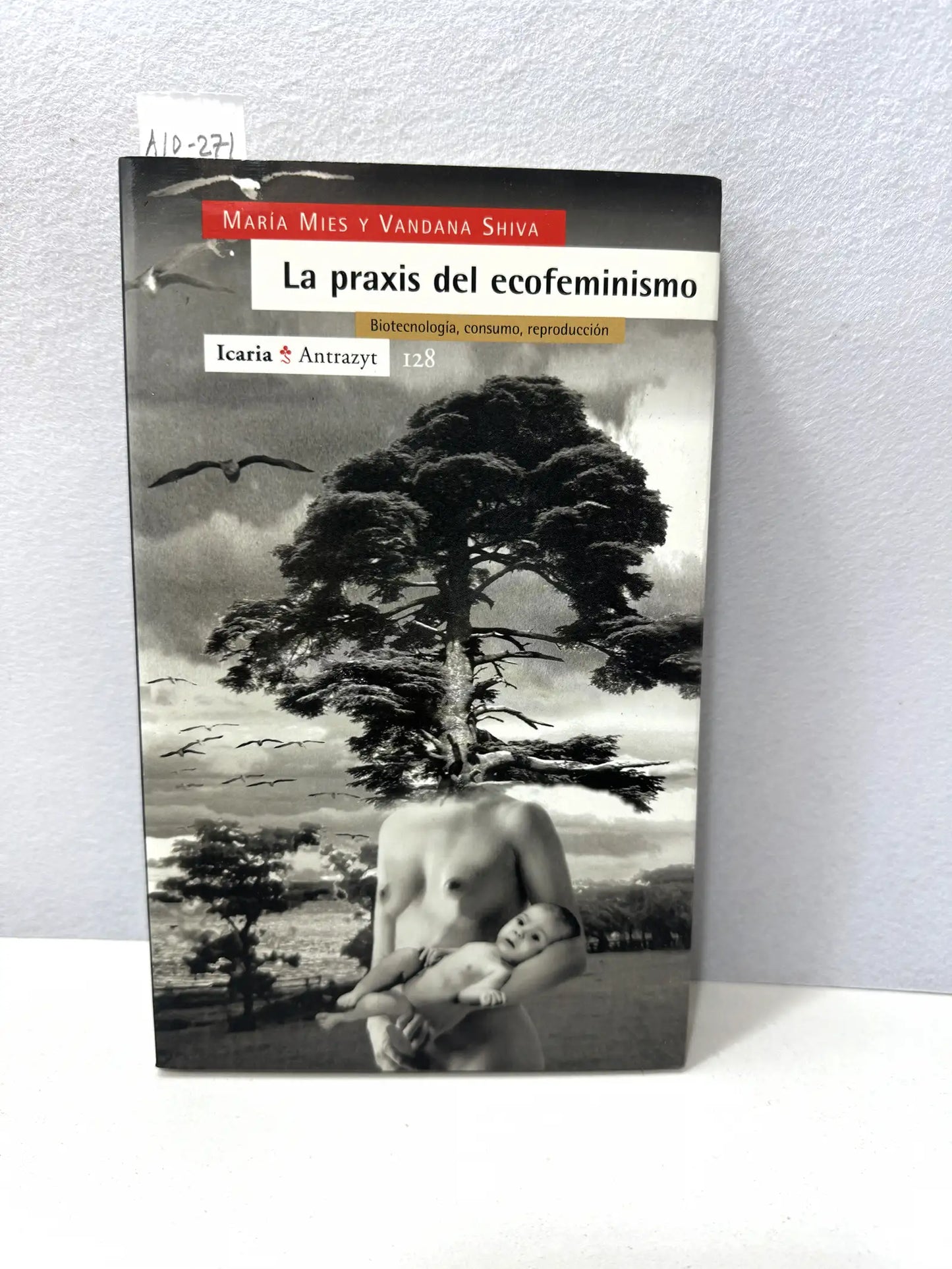 La praxis del ecofeminismo.