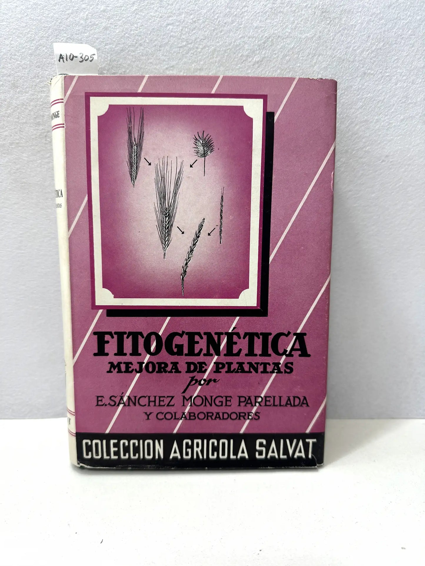 Fitogenética. Mejora de plantas.