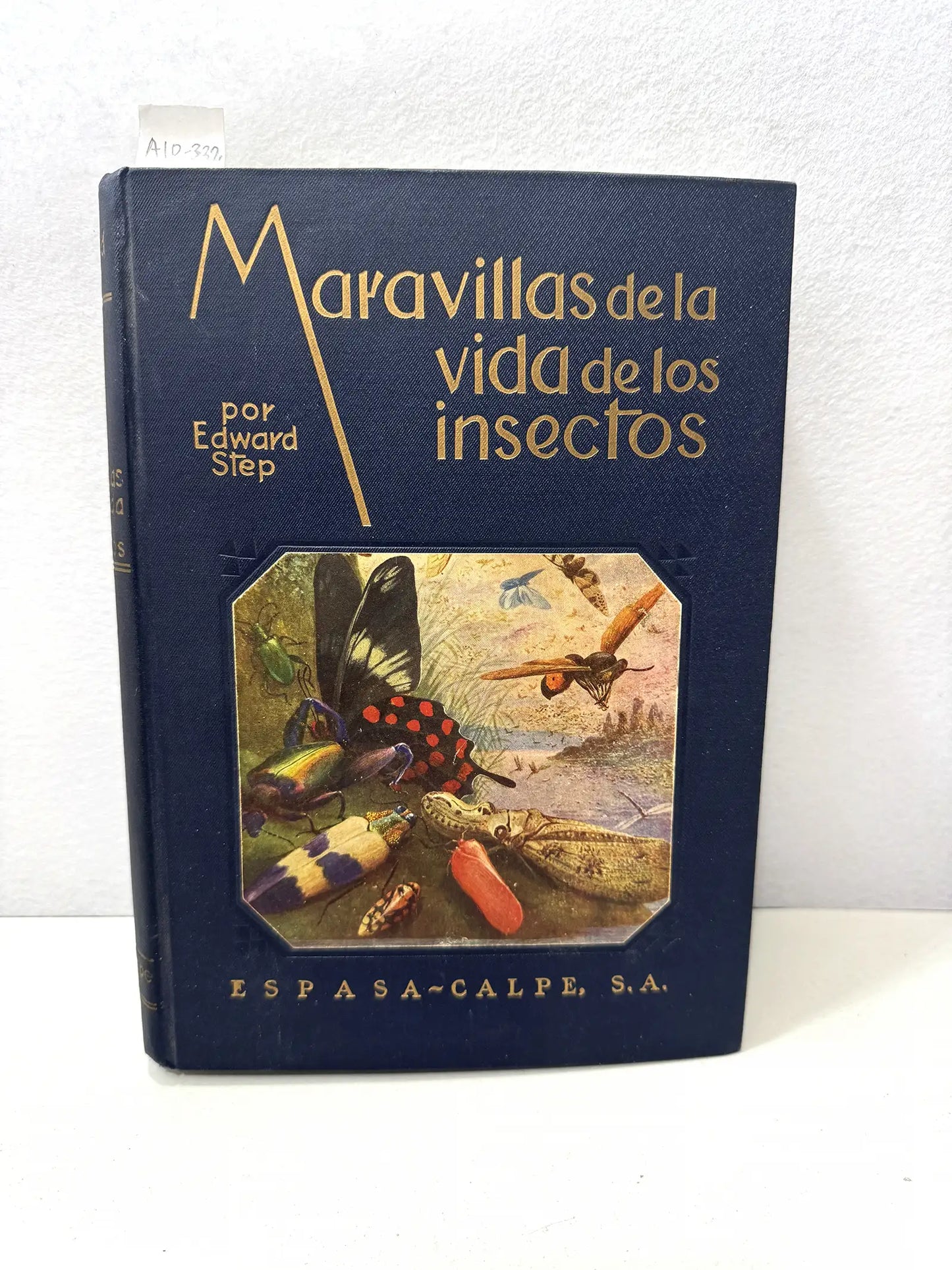 Maravillas de la vida de los insectos.