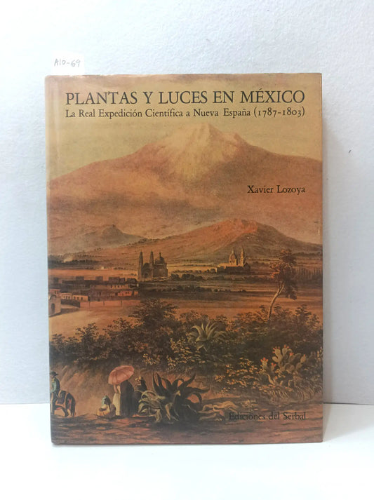 Plantas y luces en México.