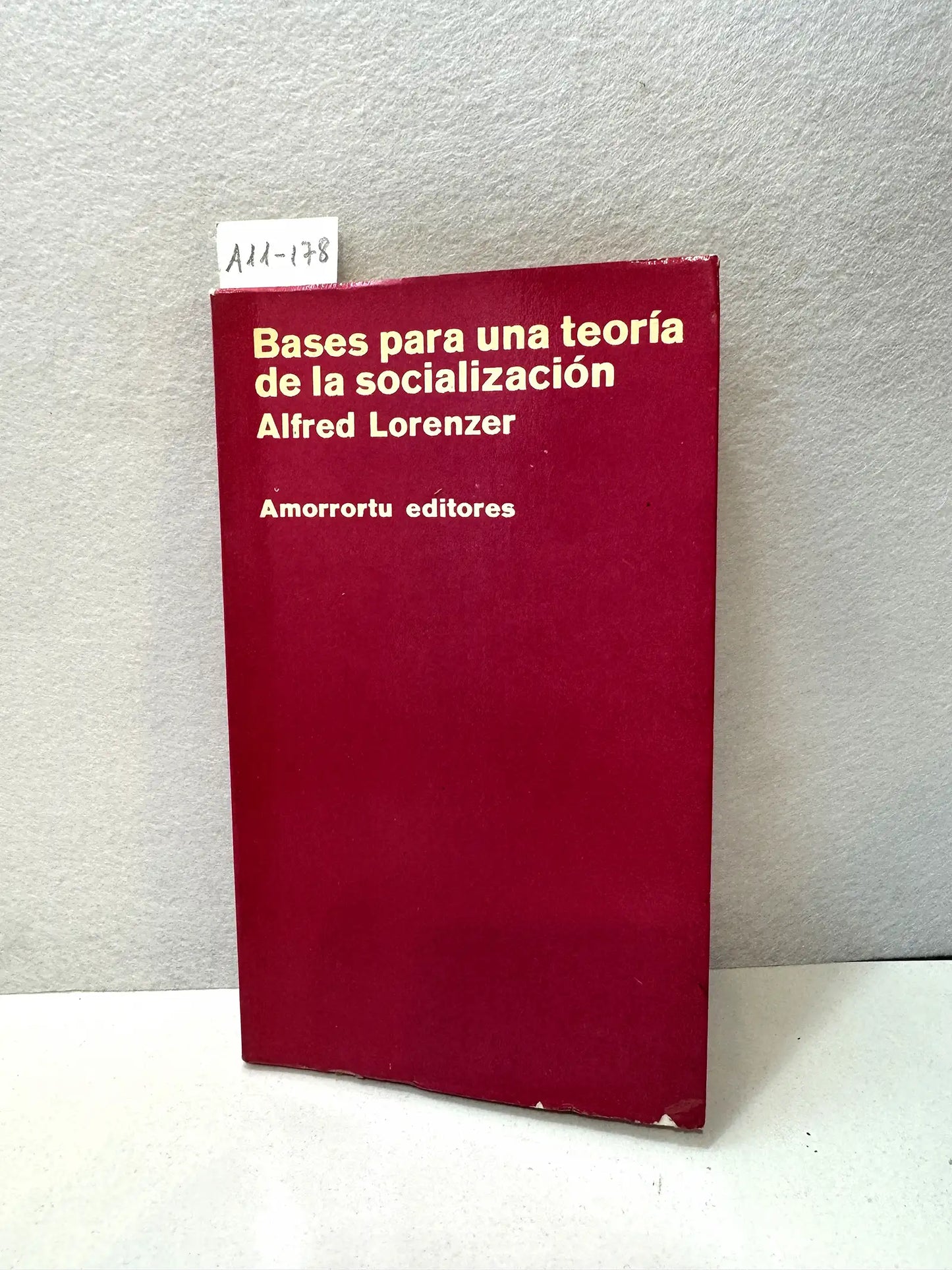 Bases para una teoría de la socialización.