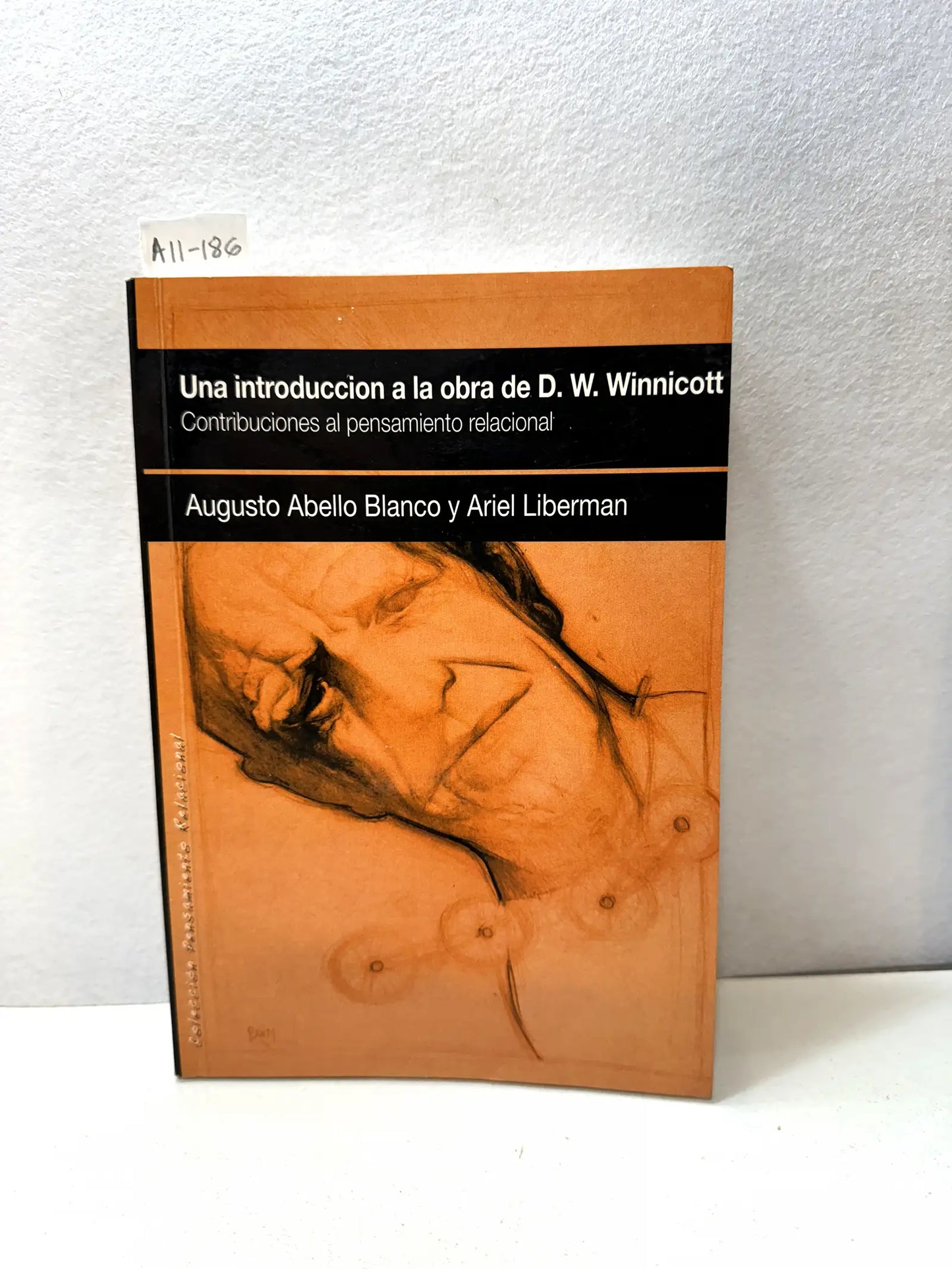 Una introducción a la obra de D. W. Winnicott. Contribuciones al pensamiento relacional.