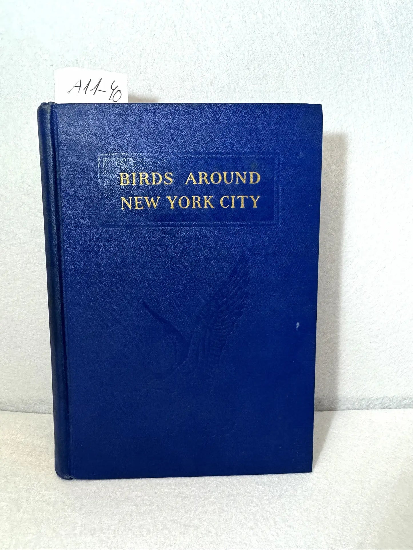 Birds around New York city where are when to find them.