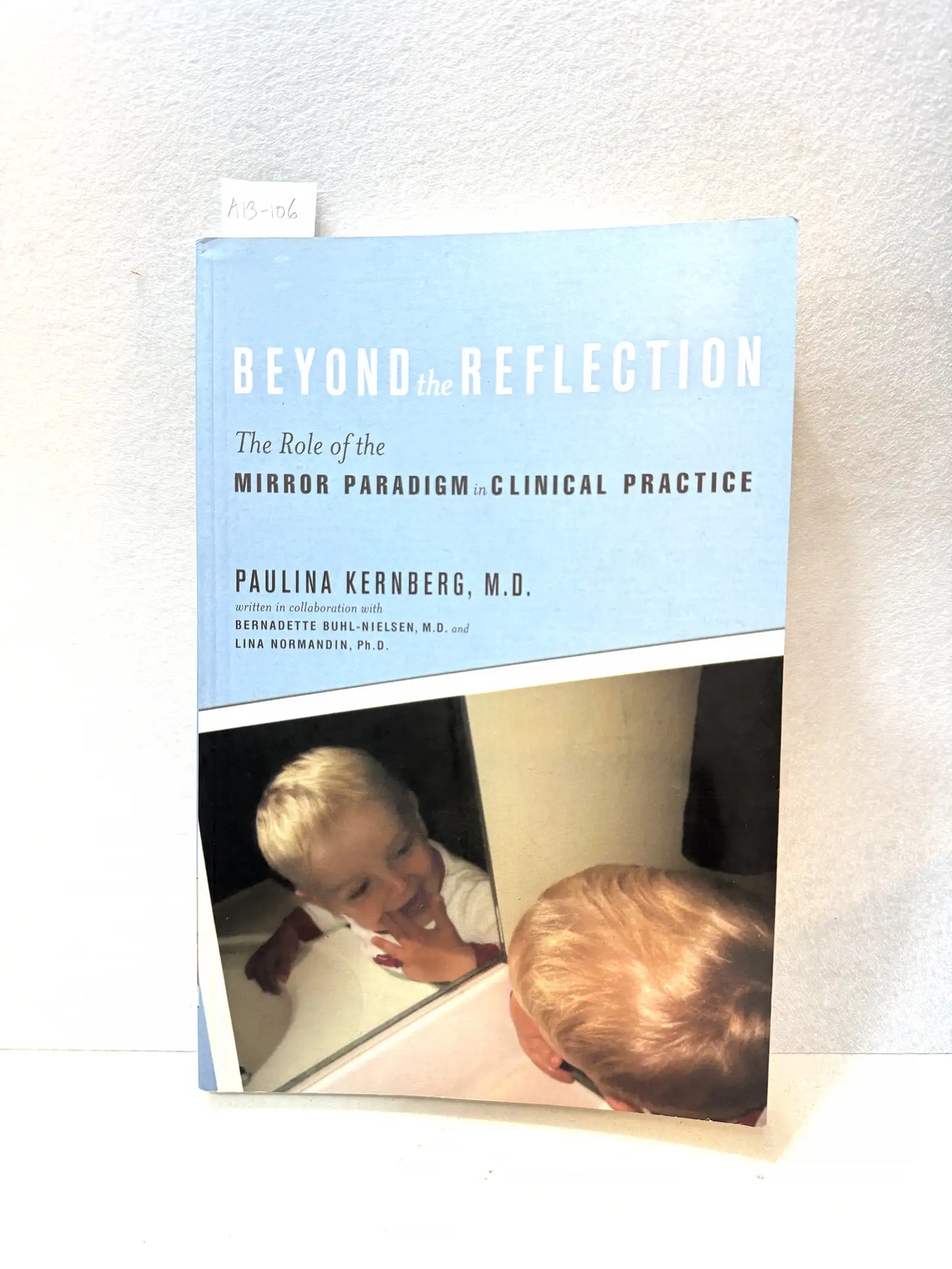 Beyond the reflection. The Role of the mirror paradigm in clinical practice.