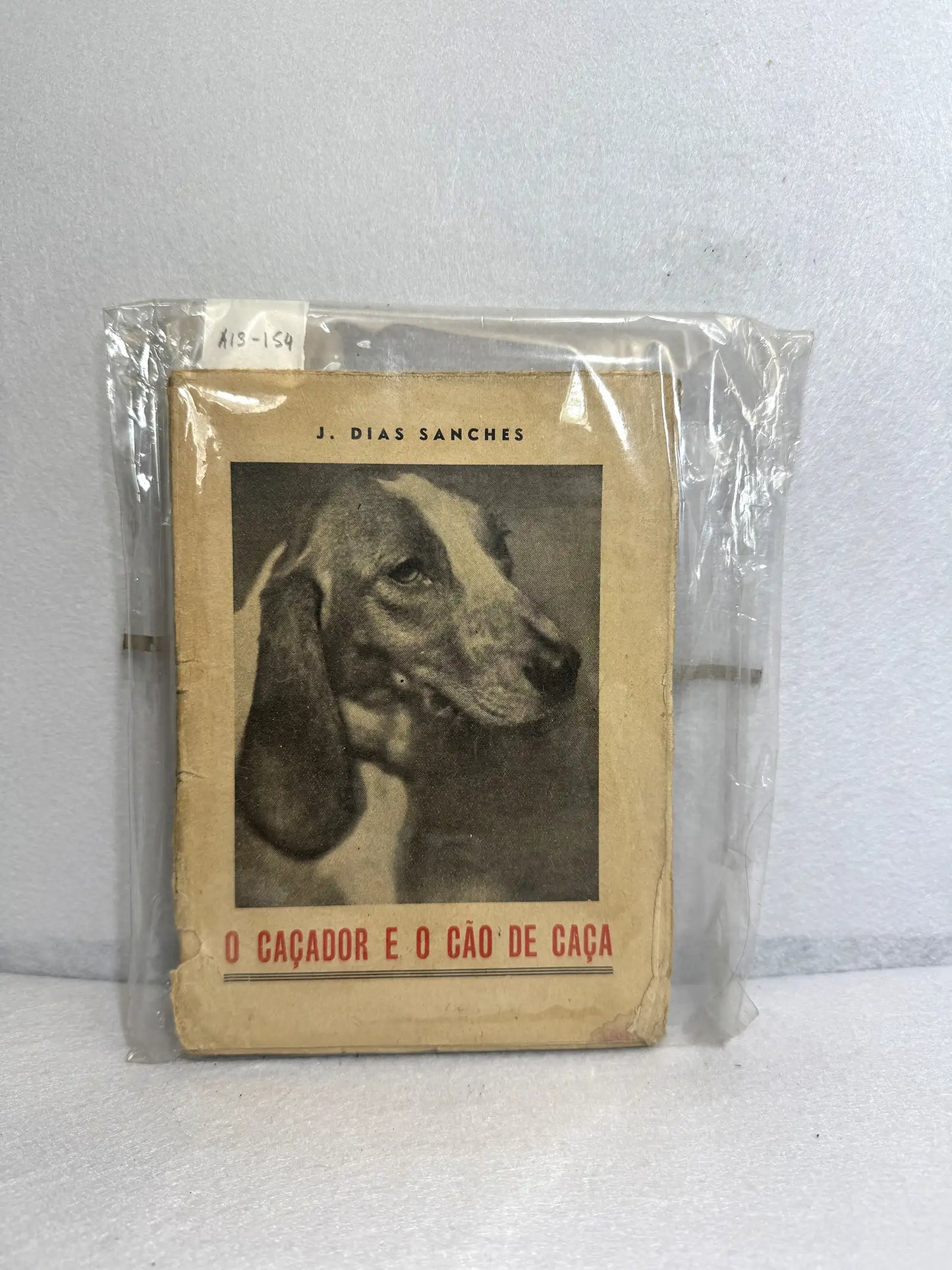 O caçador e o cáo de caça.