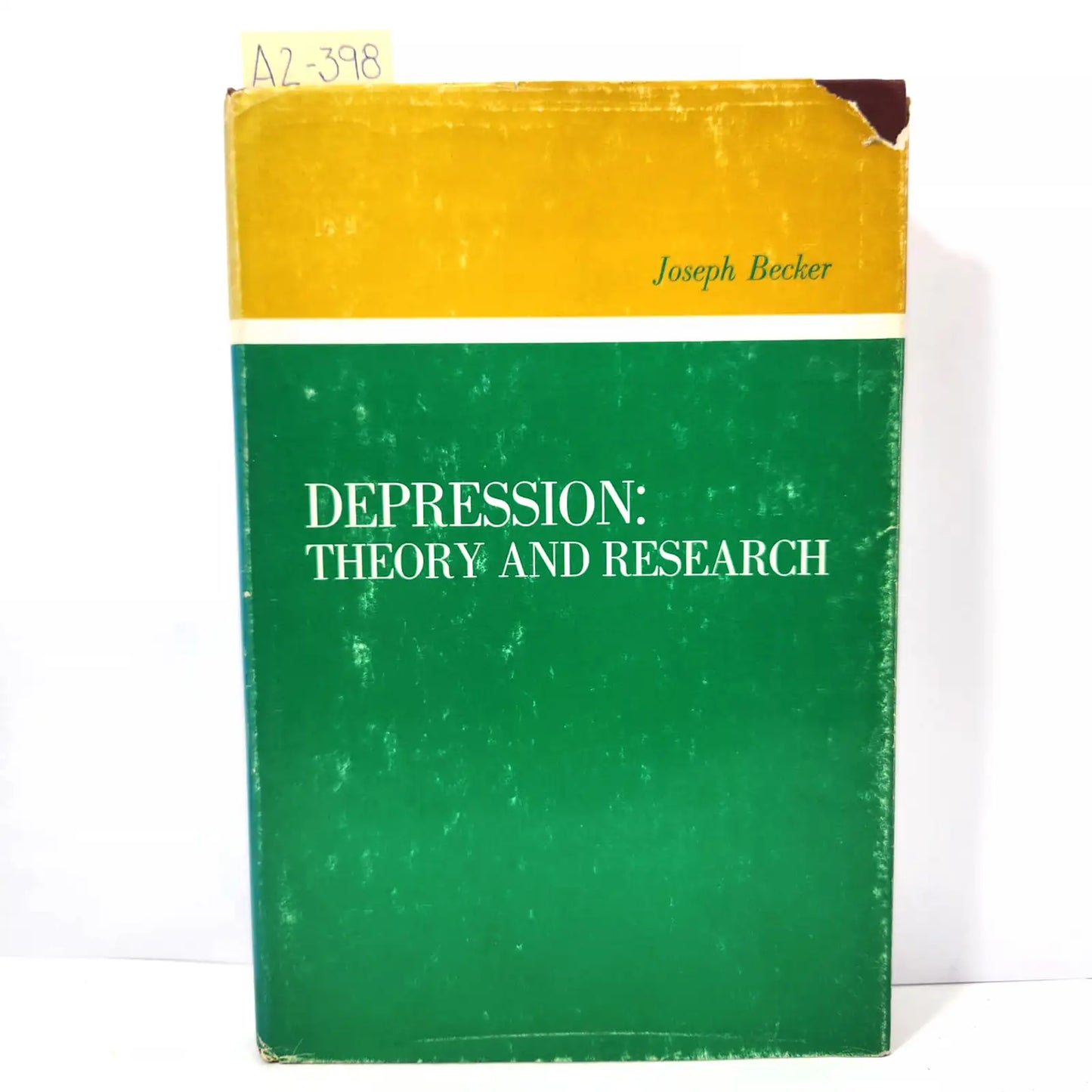 Depression: Theory and Research.