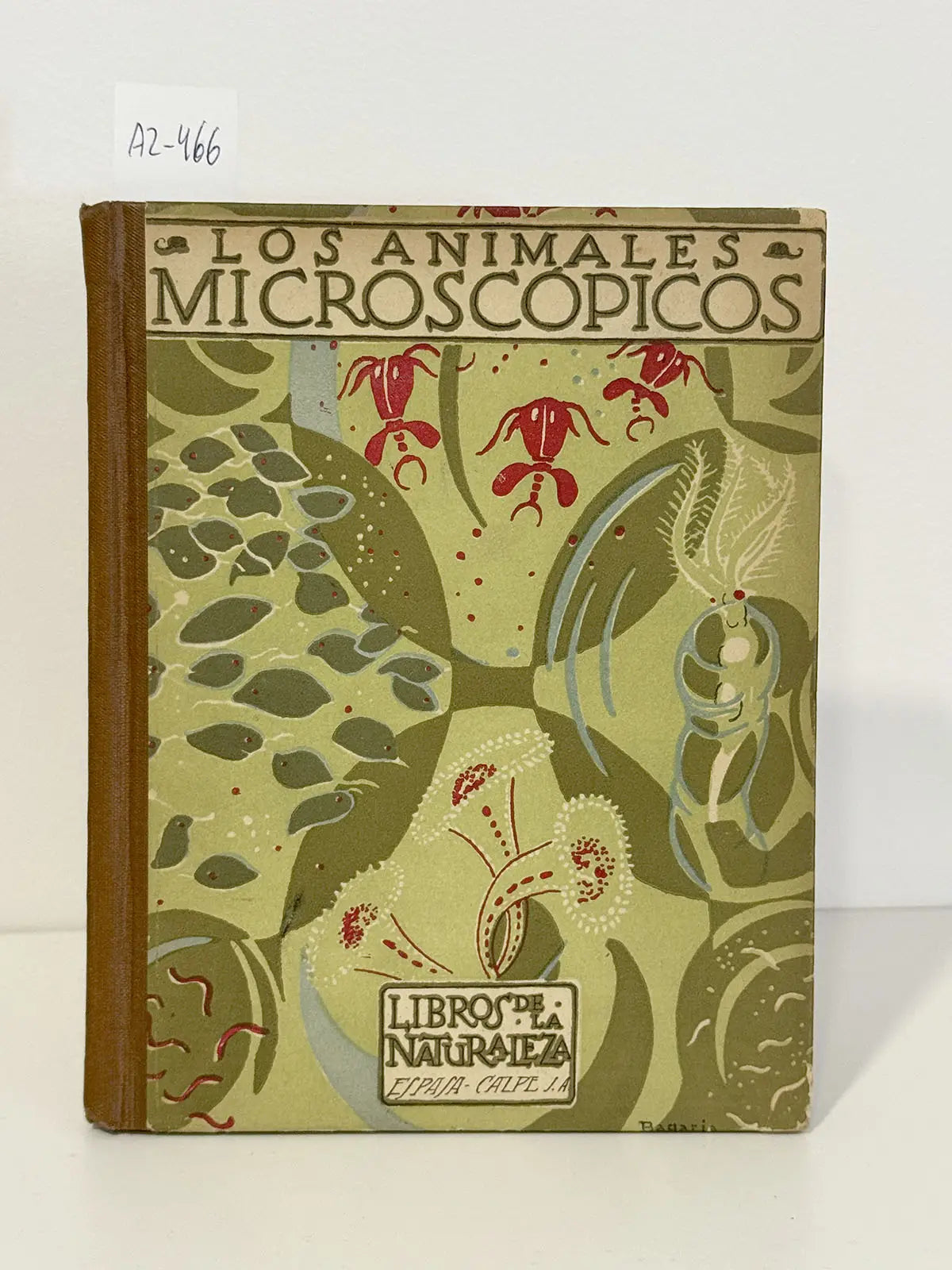 Los animales microscópicos.