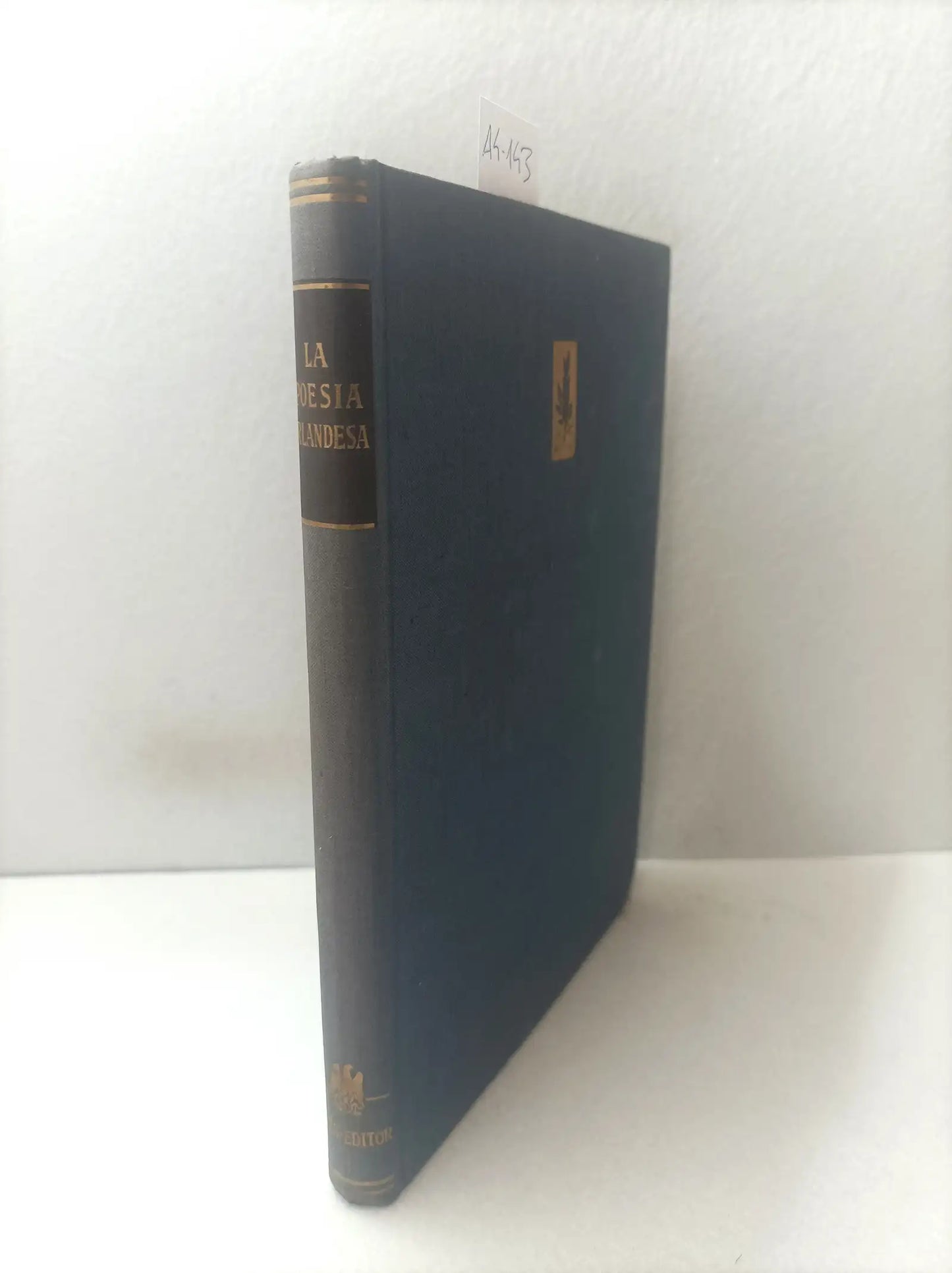La poesía irlandesa.