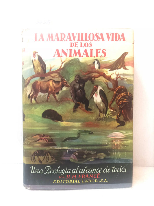 La maravillosa vida de los animales.