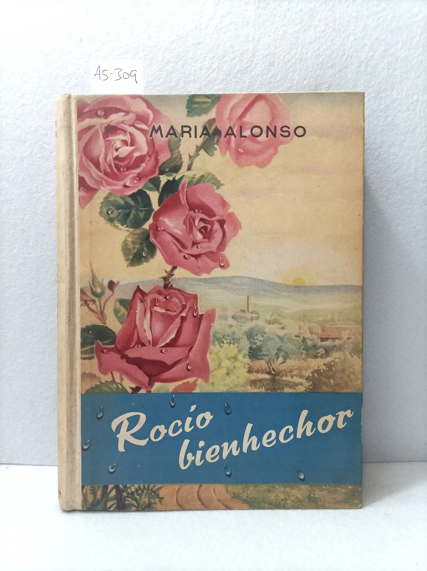 Rocío Bienhechor.